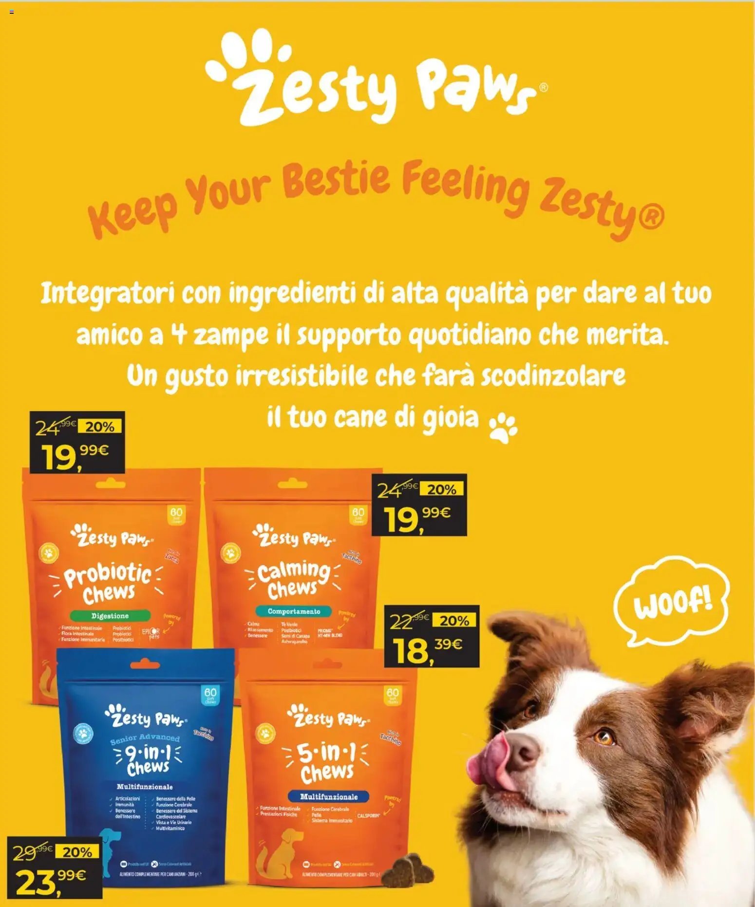 Arcaplanet volantino (2026-03-02 - 2026-03-15)