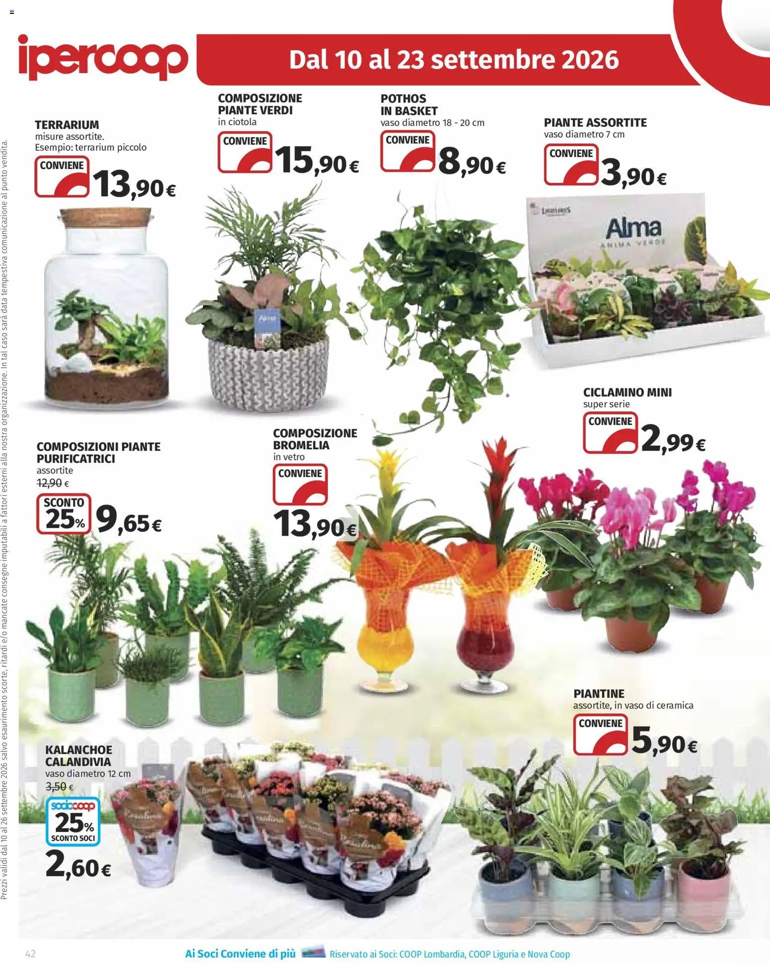 Ipercoop volantino