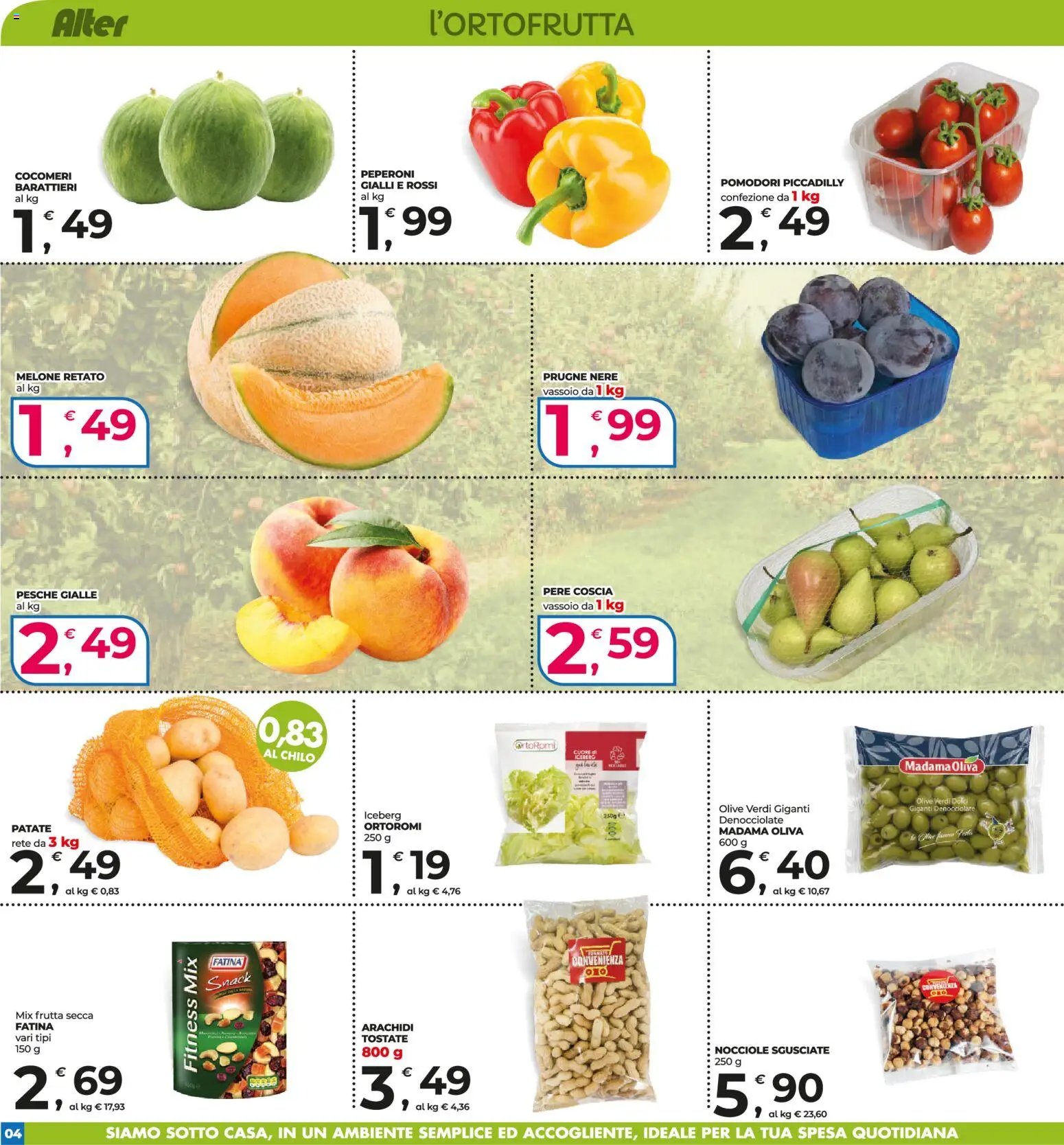 Alter Discount volantino
