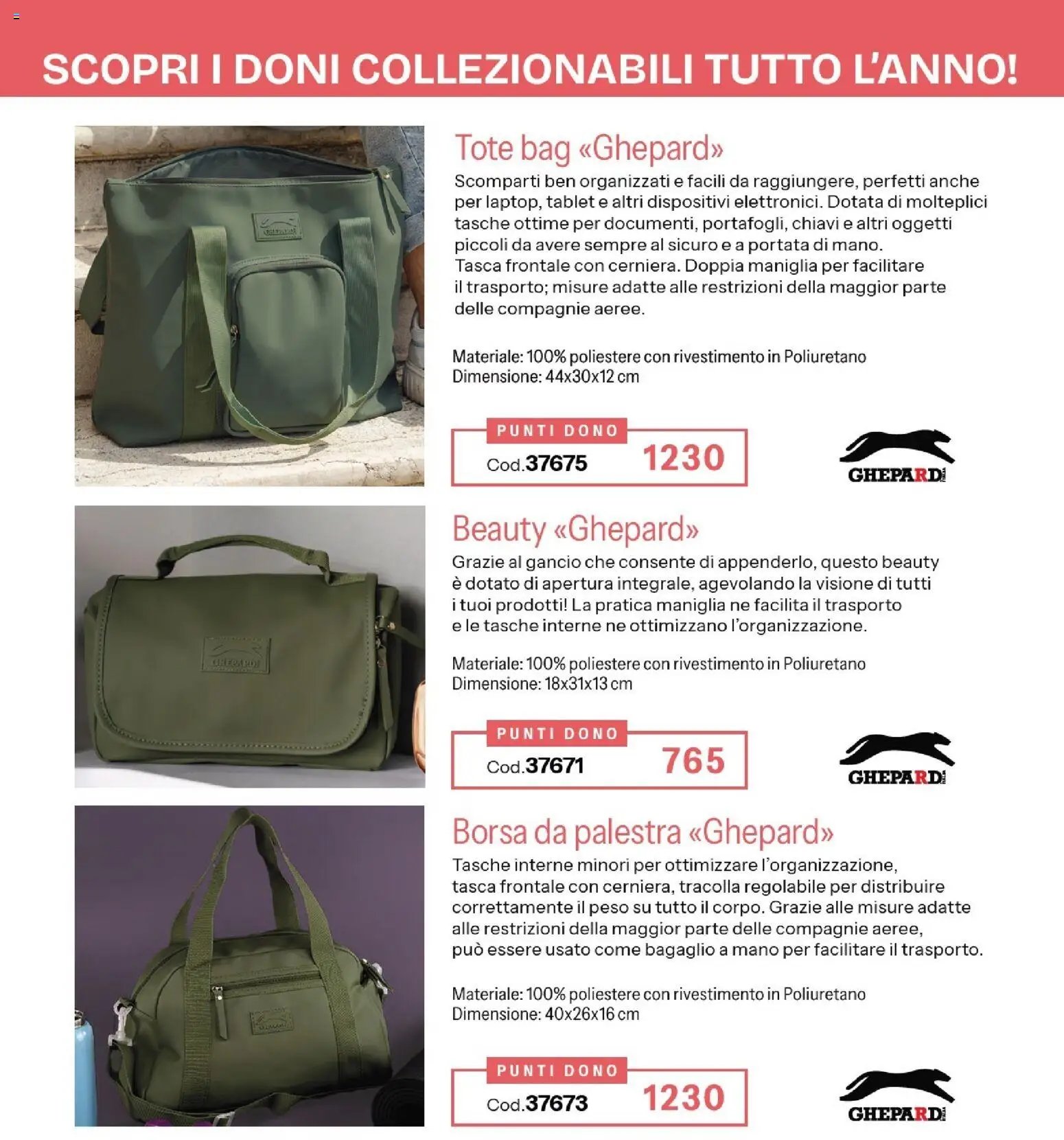 Catalogo Stanhome 16 2026