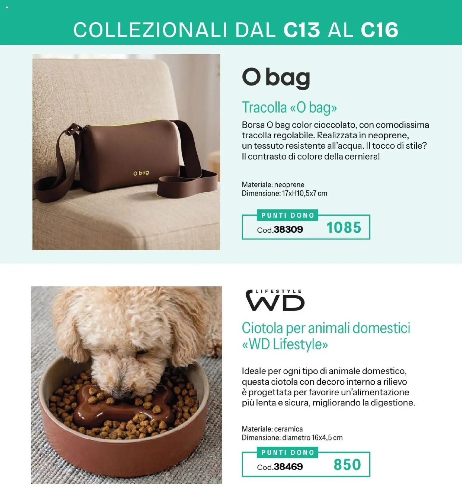 Catalogo Stanhome 16 2026