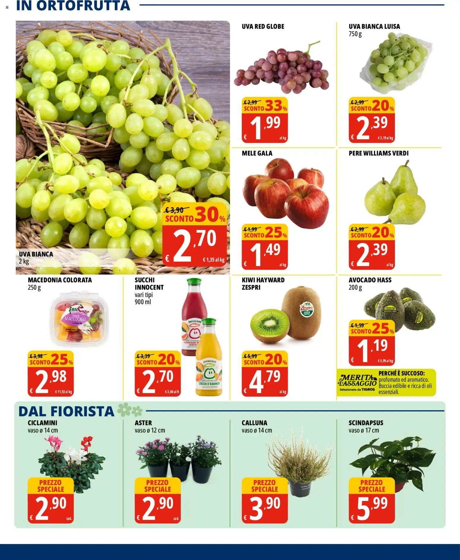 Tigros volantino