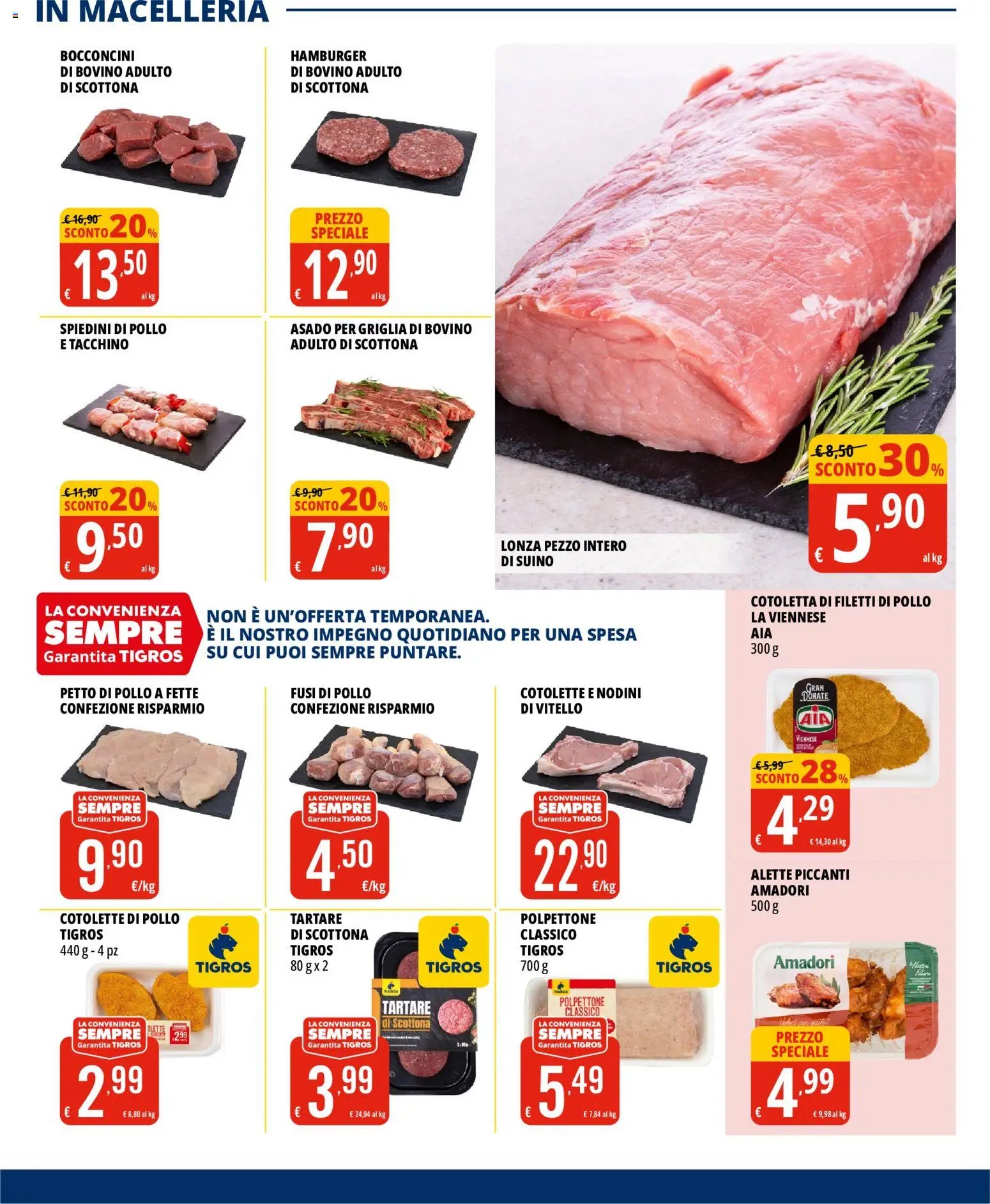 Tigros volantino