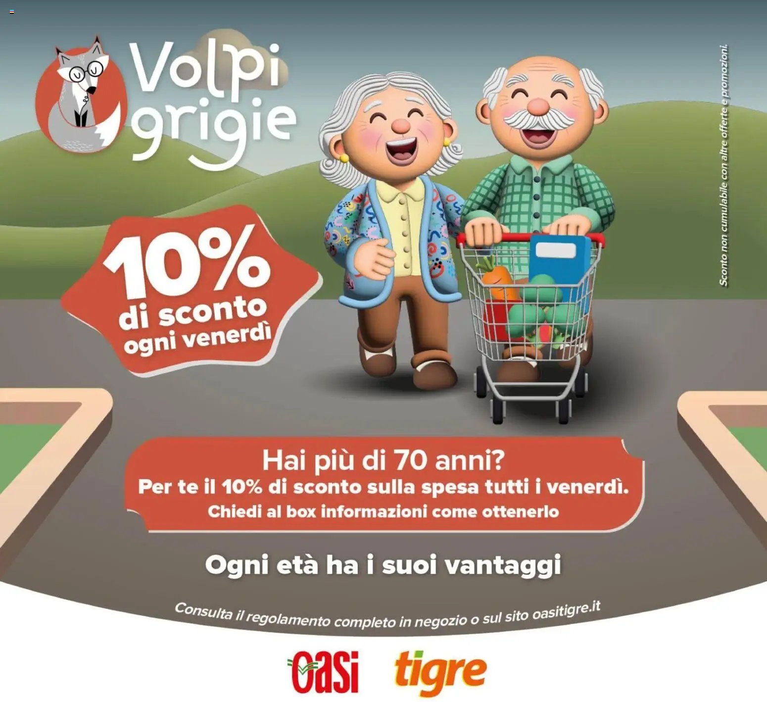 Tigre volantino Tutto Nuovo Roma