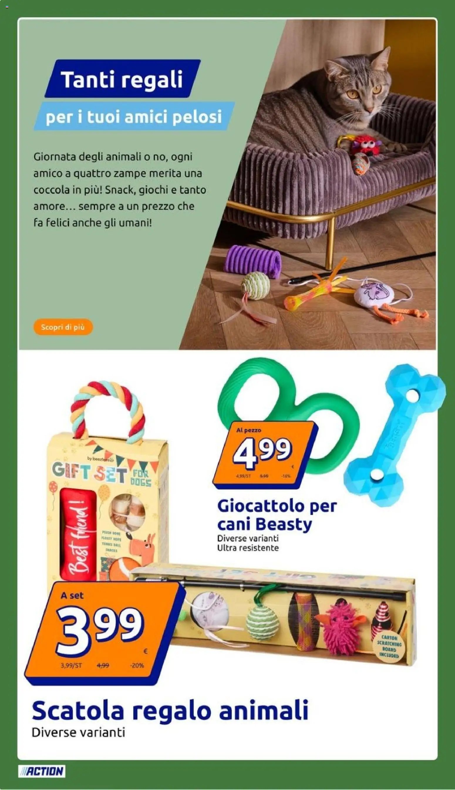 Action volantino
