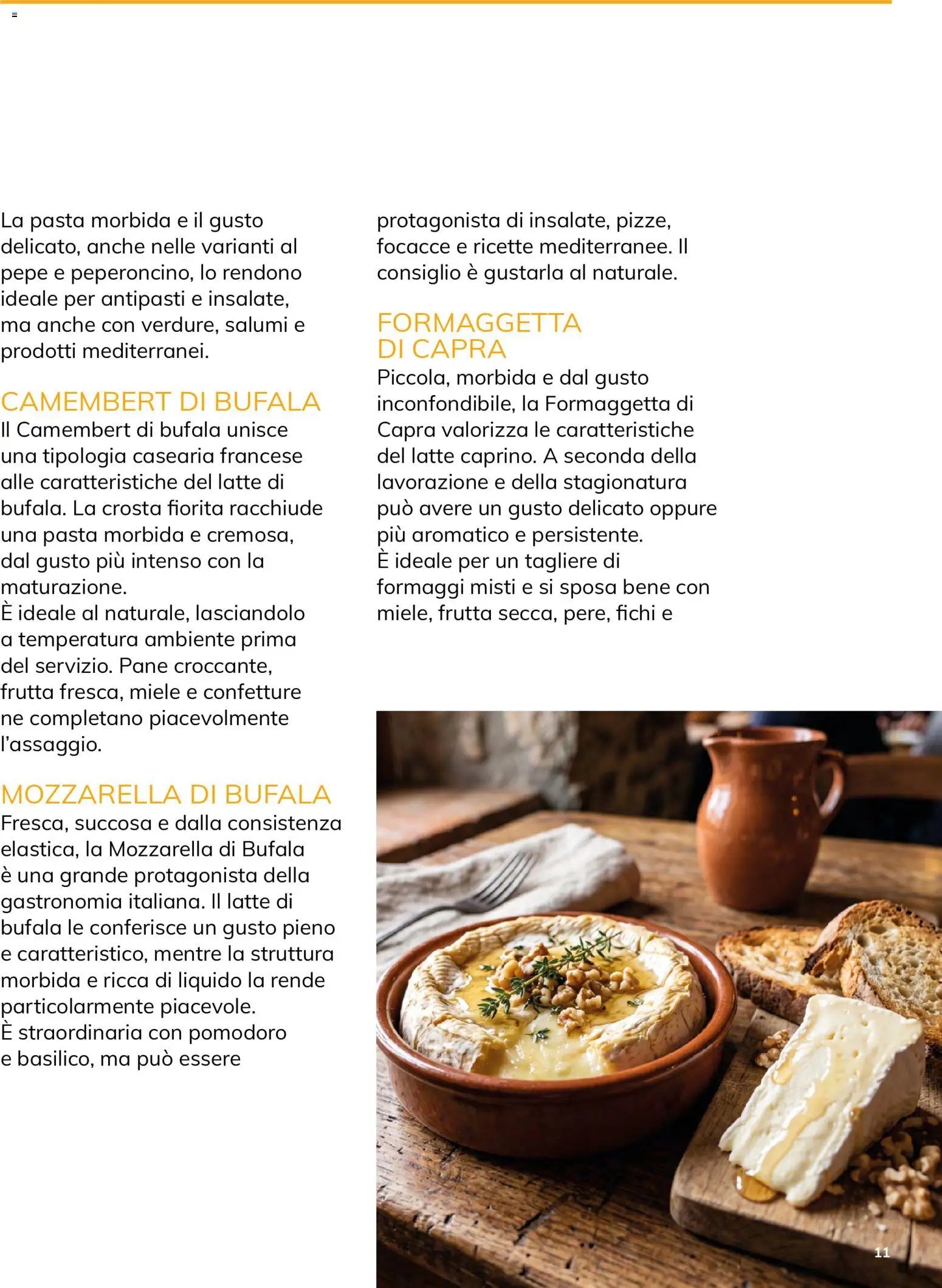 Basko volantino Magazine ottobre