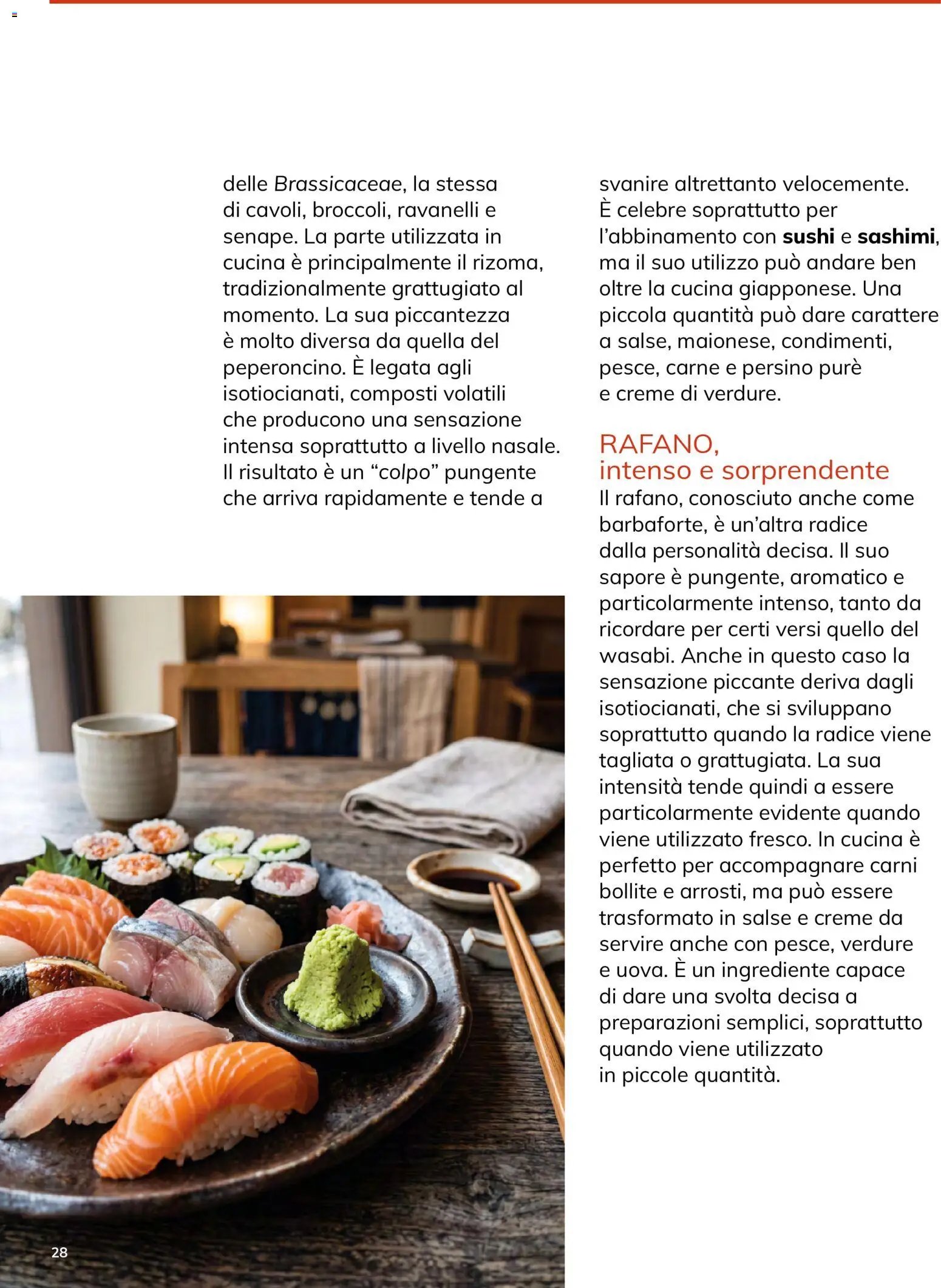 Basko volantino Magazine ottobre
