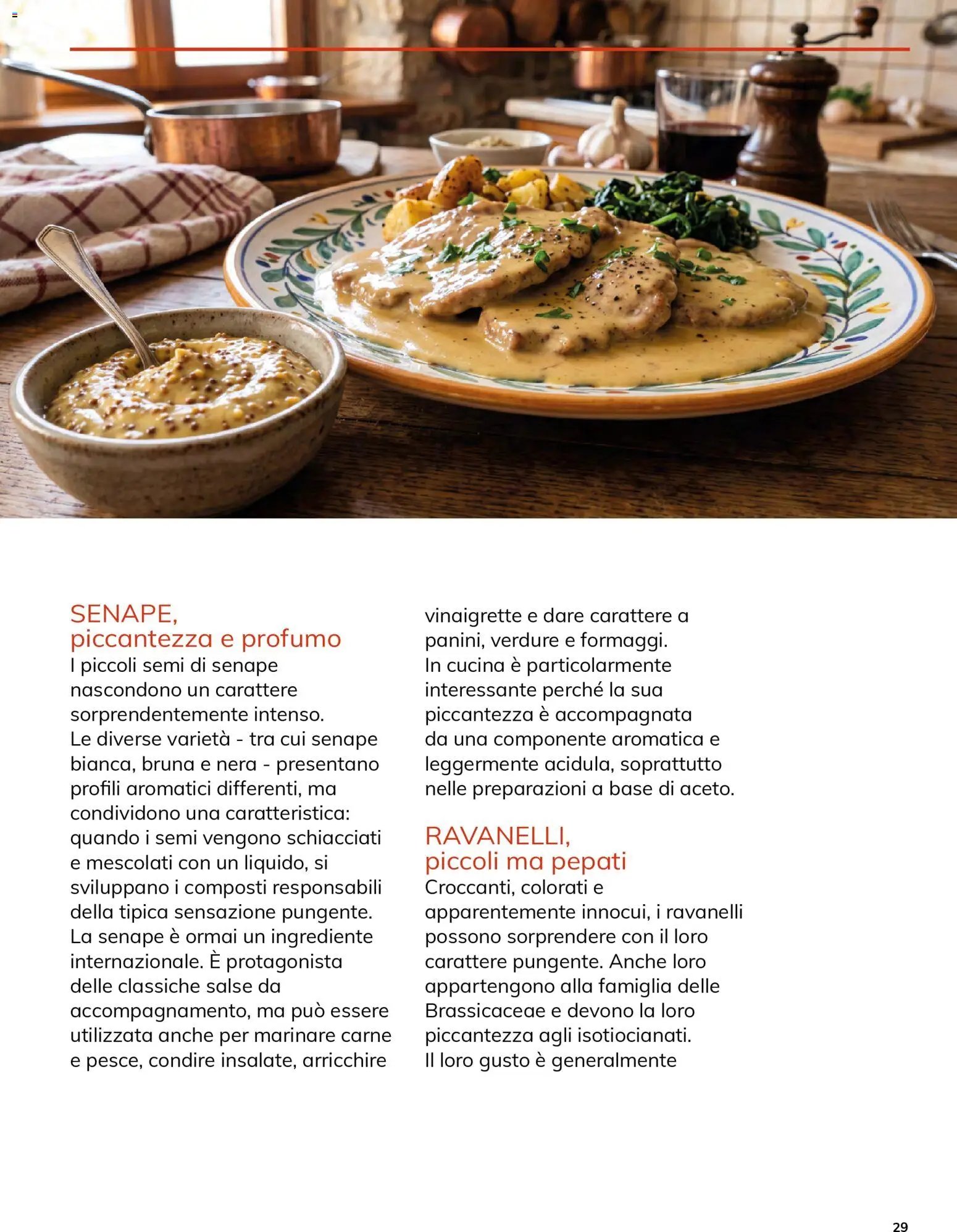 Basko volantino Magazine ottobre