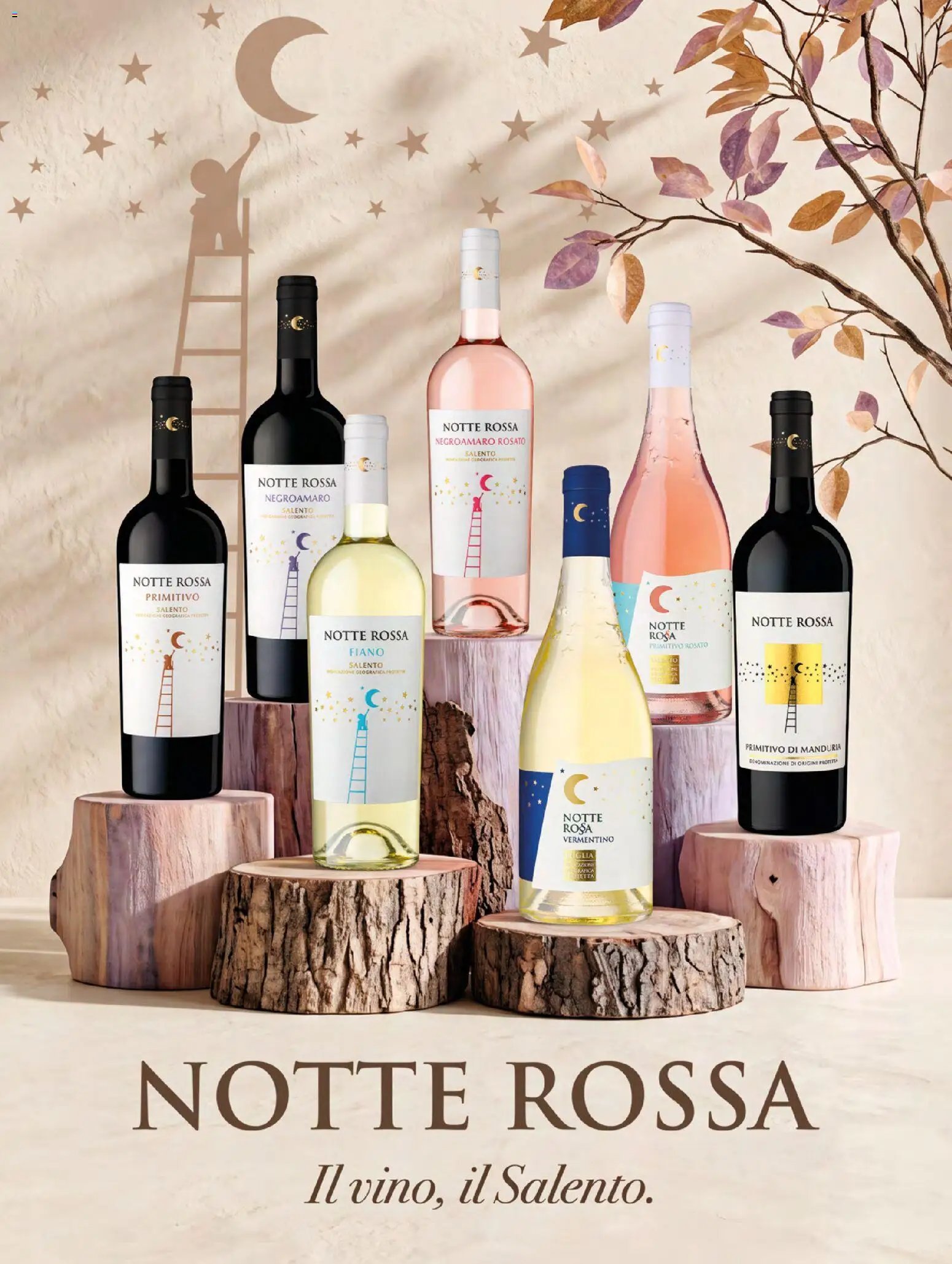 Basko volantino Magazine ottobre