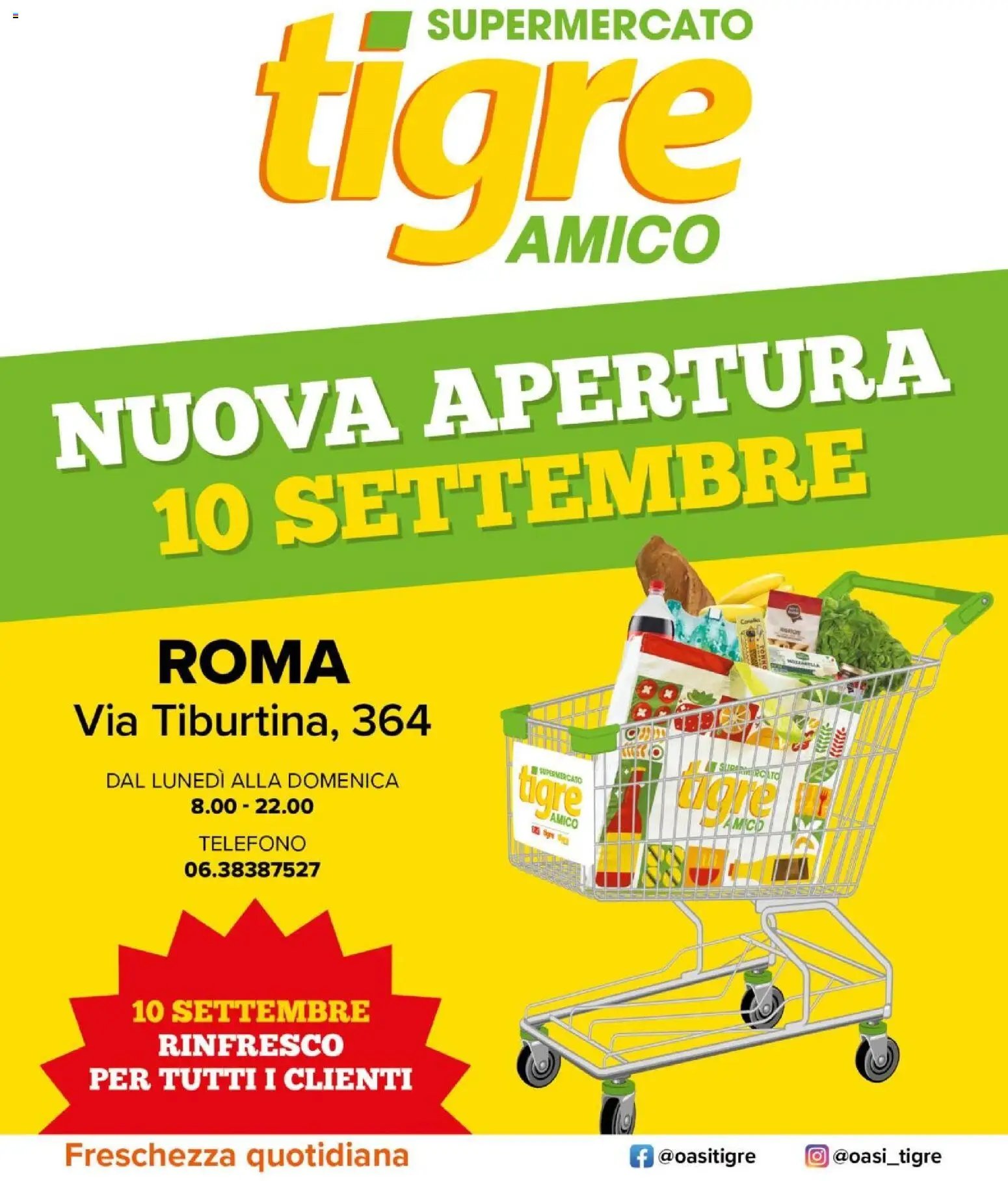 Tigre volantino Amico Roma
