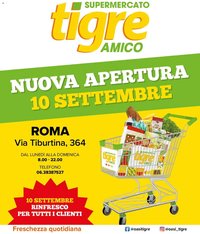 Tigre volantino Amico Roma
