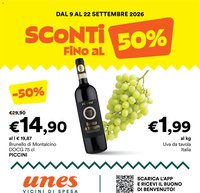 Unes volantino
