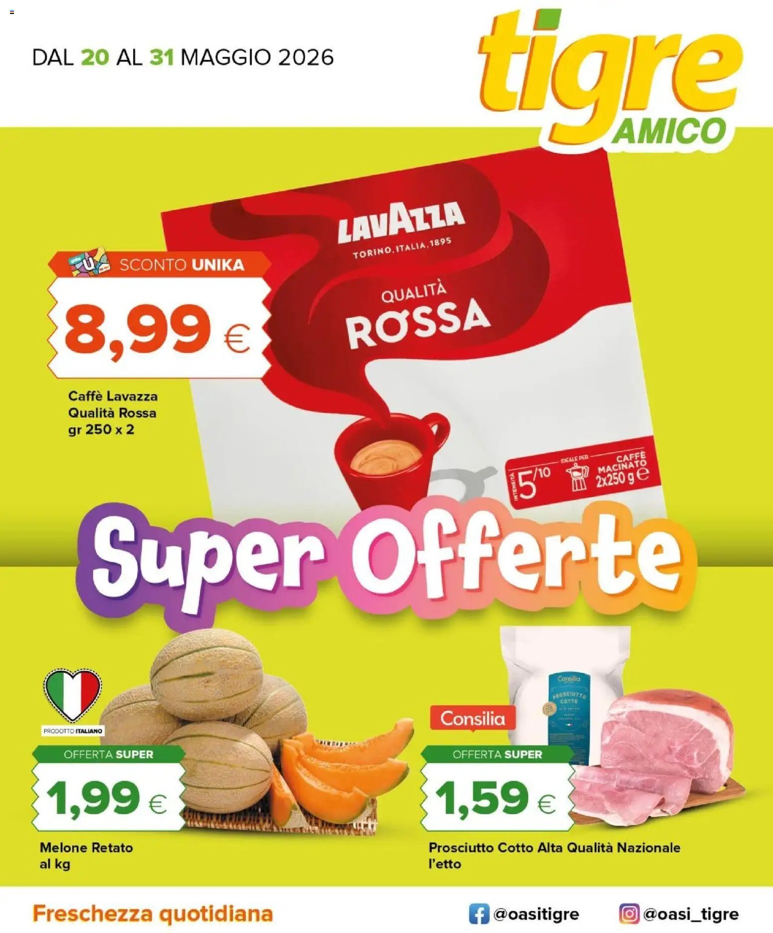 Tigre volantino Amico Abruzzo, Marche