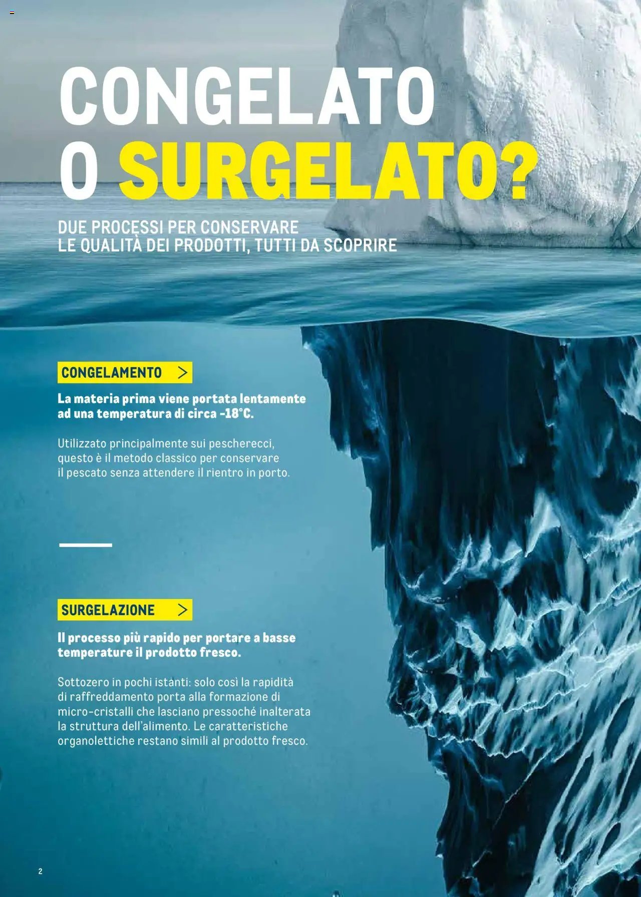 Metro Surgelati 2025 catalogo (2025-06-30 - 2026-06-30)