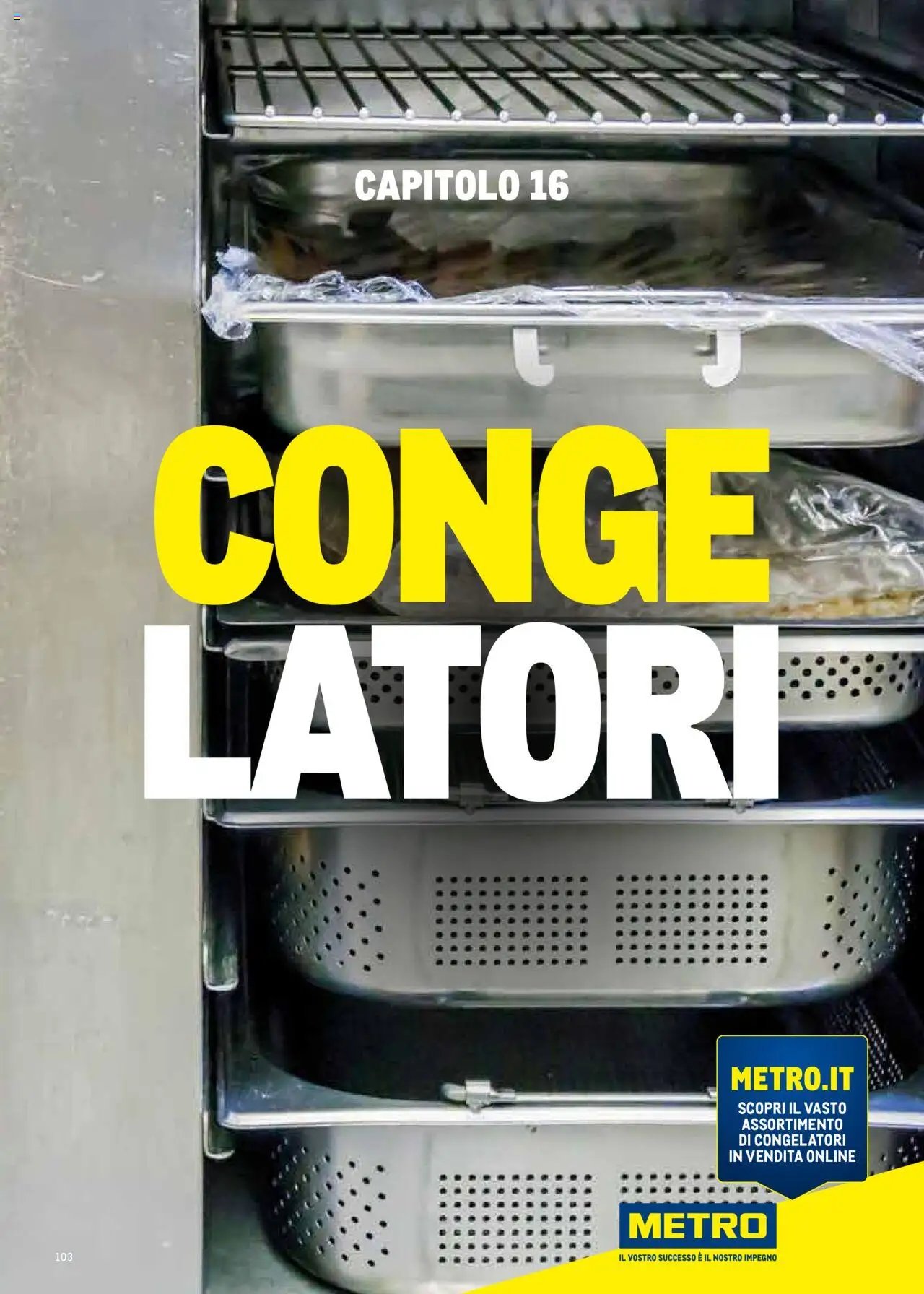 Metro Surgelati 2025 catalogo (2025-06-30 - 2026-06-30)