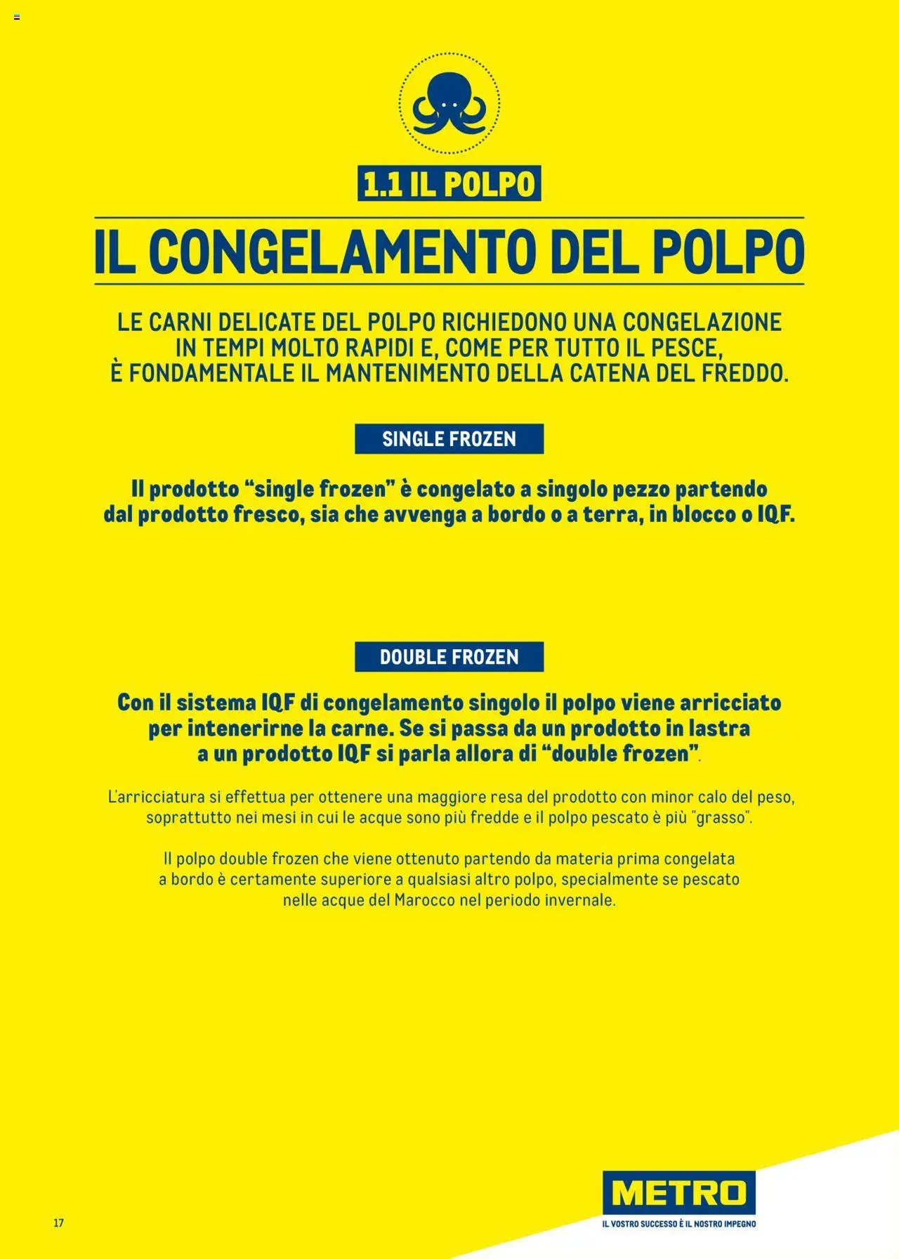 Metro Surgelati 2025 catalogo (2025-06-30 - 2026-06-30)