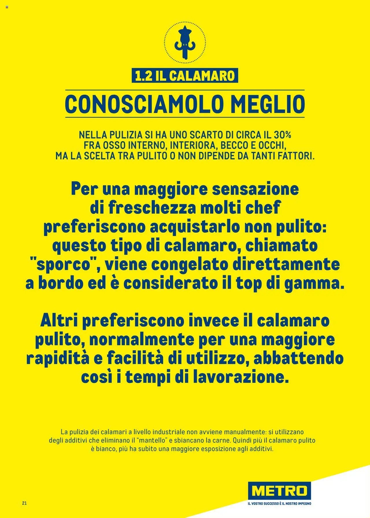 Metro Surgelati 2025 catalogo (2025-06-30 - 2026-06-30)
