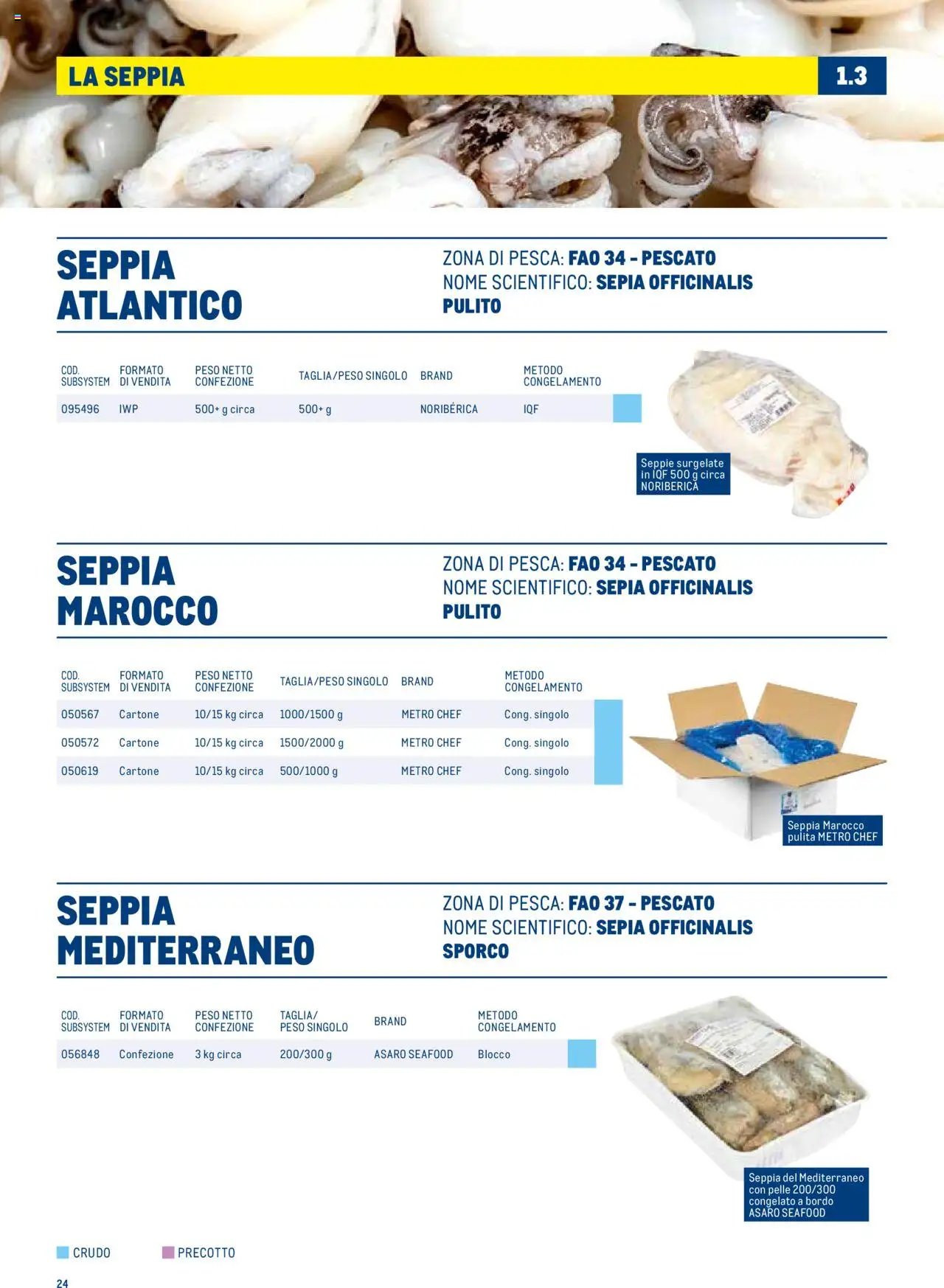 Metro Surgelati 2025 catalogo (2025-06-30 - 2026-06-30)