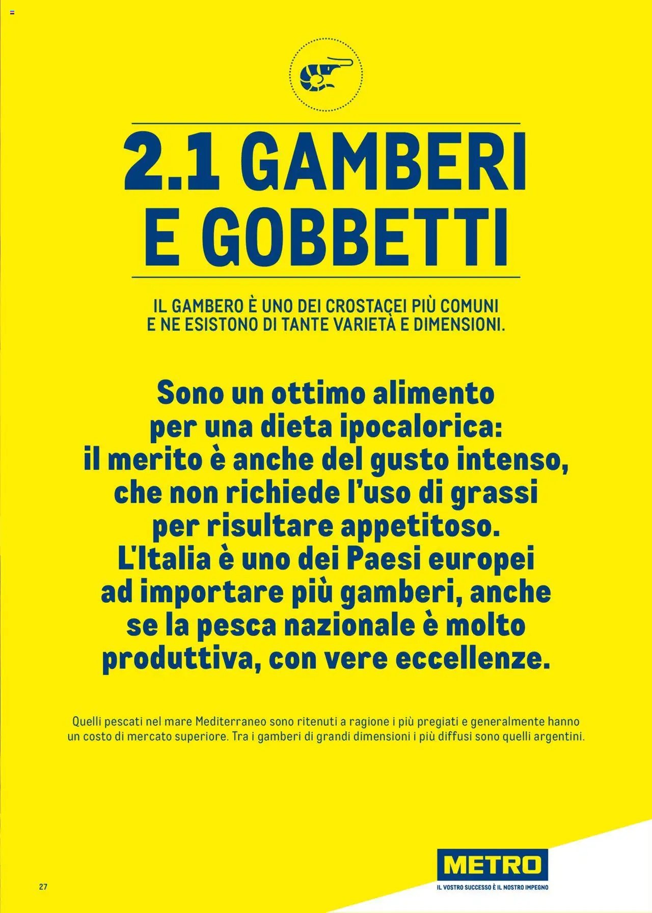 Metro Surgelati 2025 catalogo (2025-06-30 - 2026-06-30)