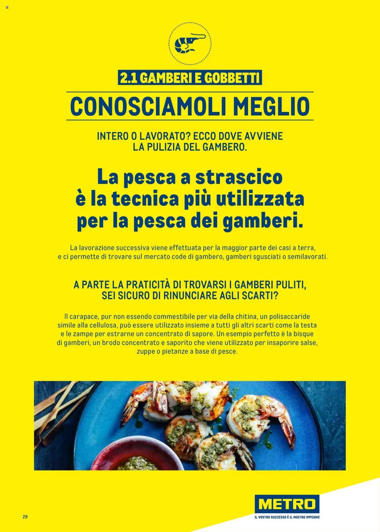 Metro Surgelati 2025 catalogo (2025-06-30 - 2026-06-30)