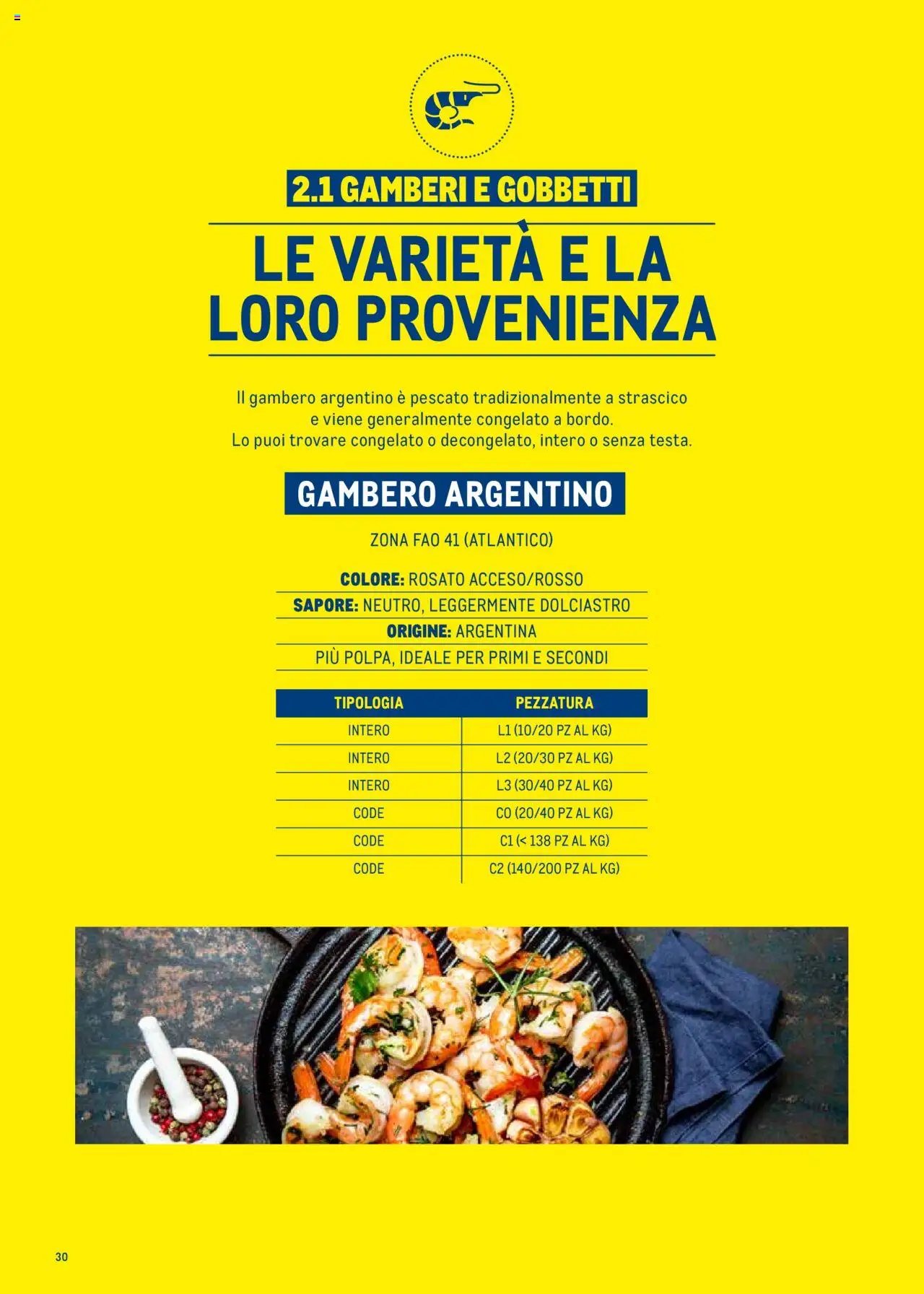 Metro Surgelati 2025 catalogo (2025-06-30 - 2026-06-30)