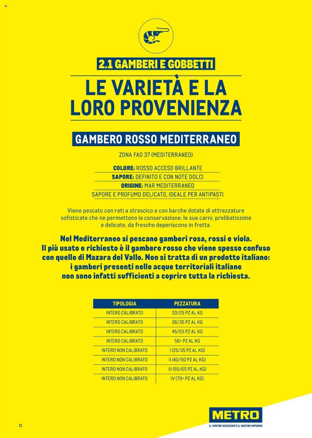 Metro Surgelati 2025 catalogo (2025-06-30 - 2026-06-30)