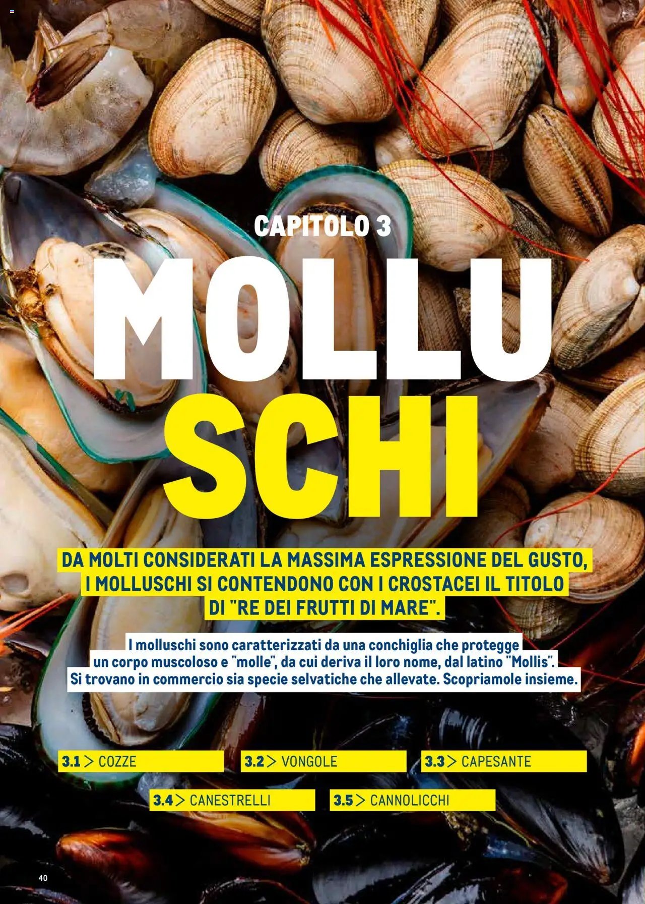 Metro Surgelati 2025 catalogo (2025-06-30 - 2026-06-30)