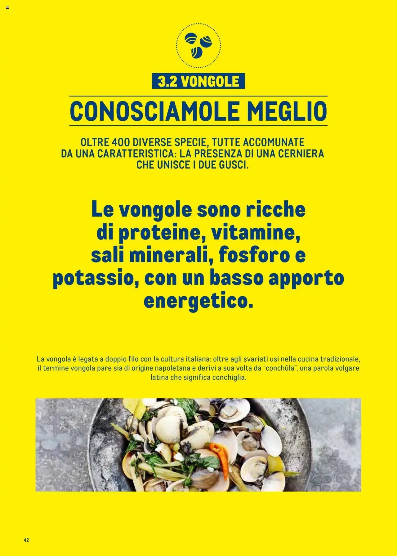 Metro Surgelati 2025 catalogo (2025-06-30 - 2026-06-30)
