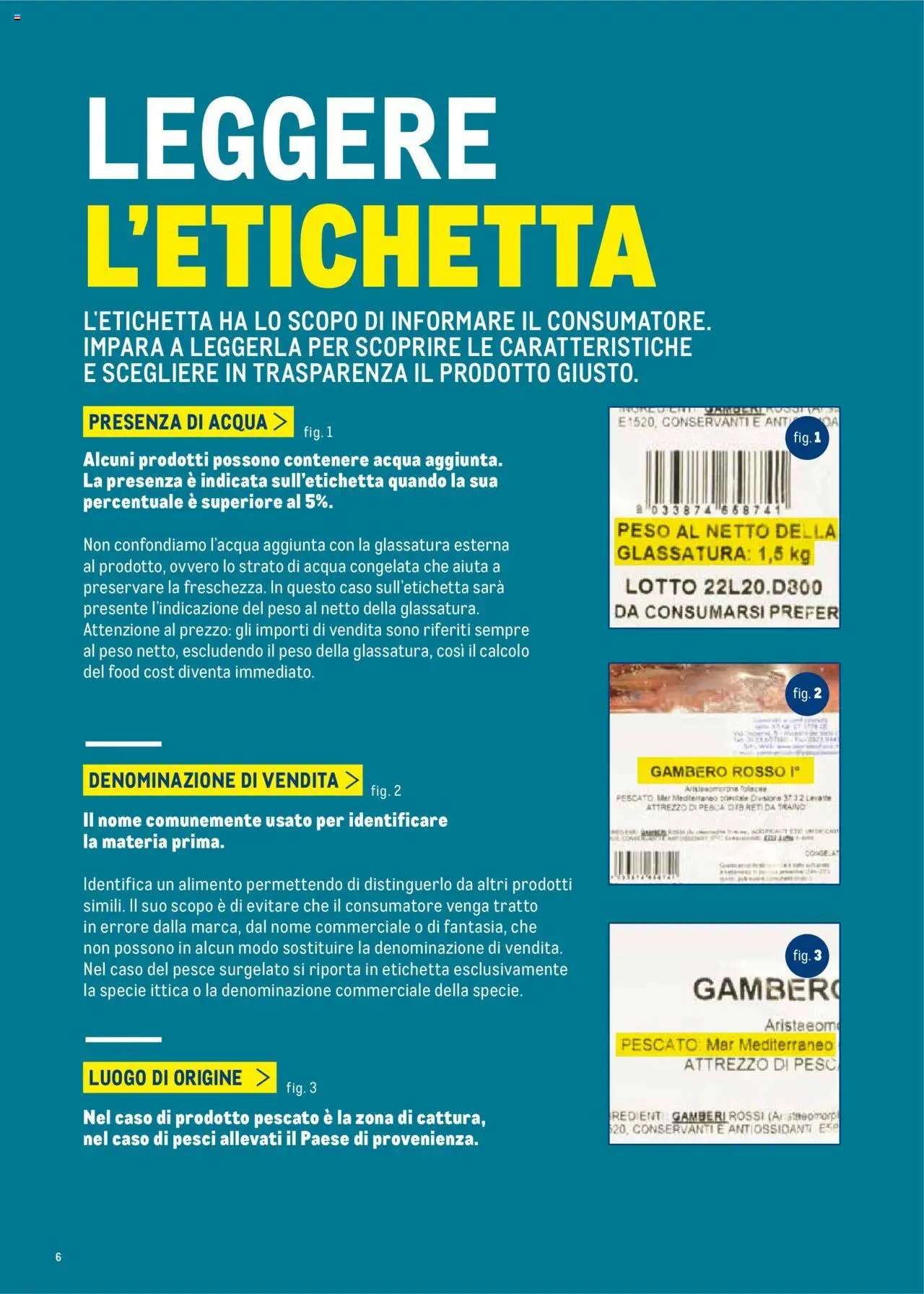 Metro Surgelati 2025 catalogo (2025-06-30 - 2026-06-30)