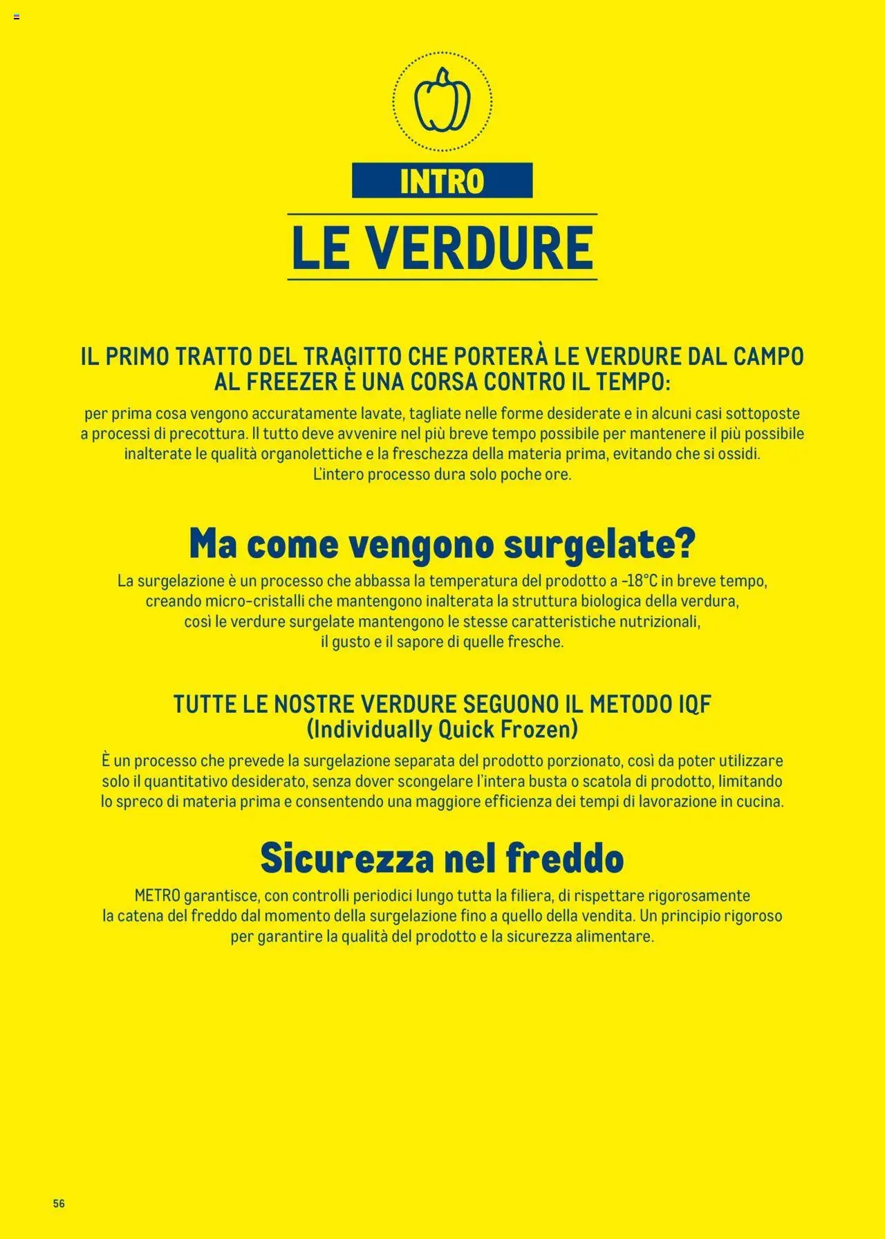 Metro Surgelati 2025 catalogo (2025-06-30 - 2026-06-30)