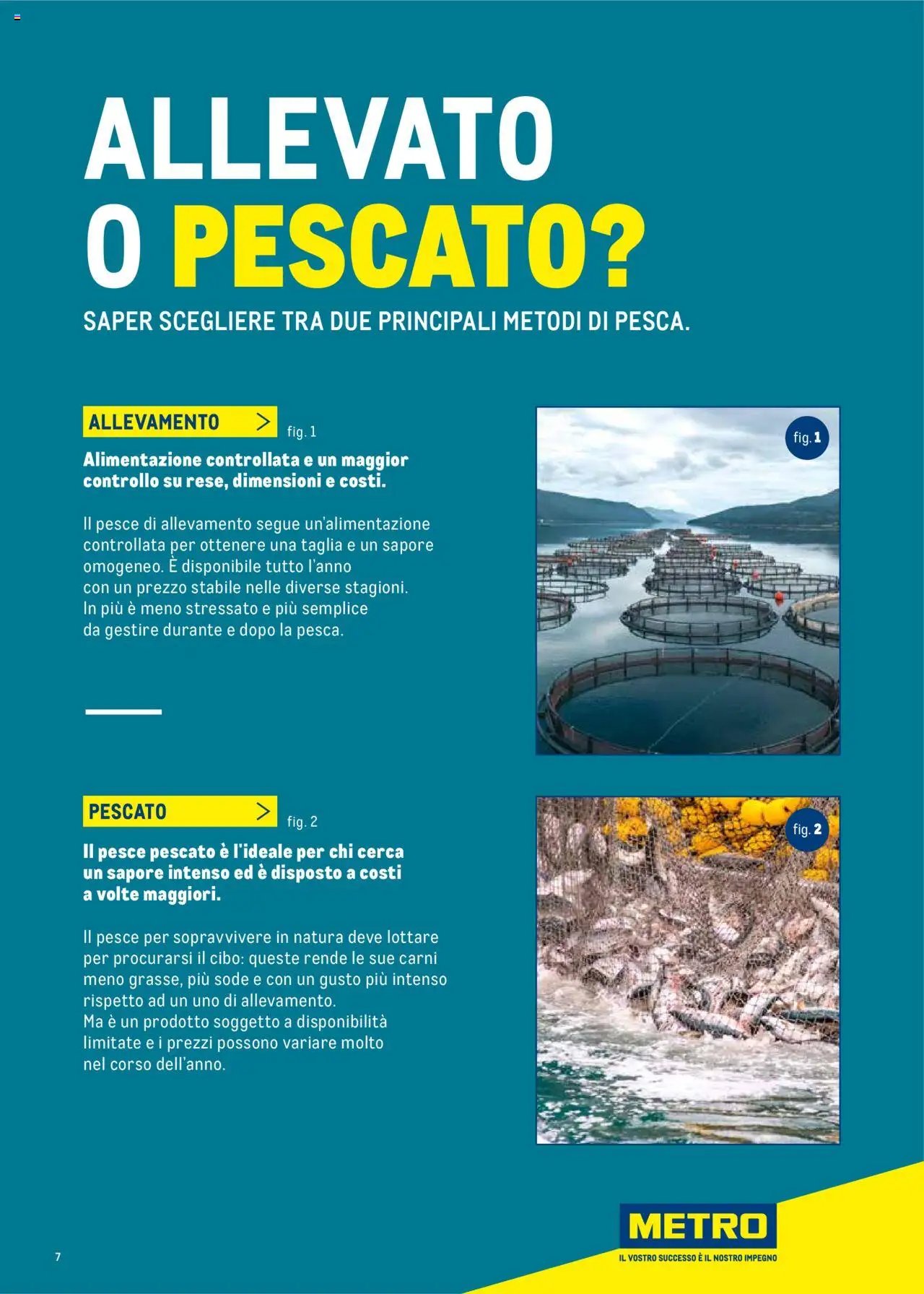 Metro Surgelati 2025 catalogo (2025-06-30 - 2026-06-30)