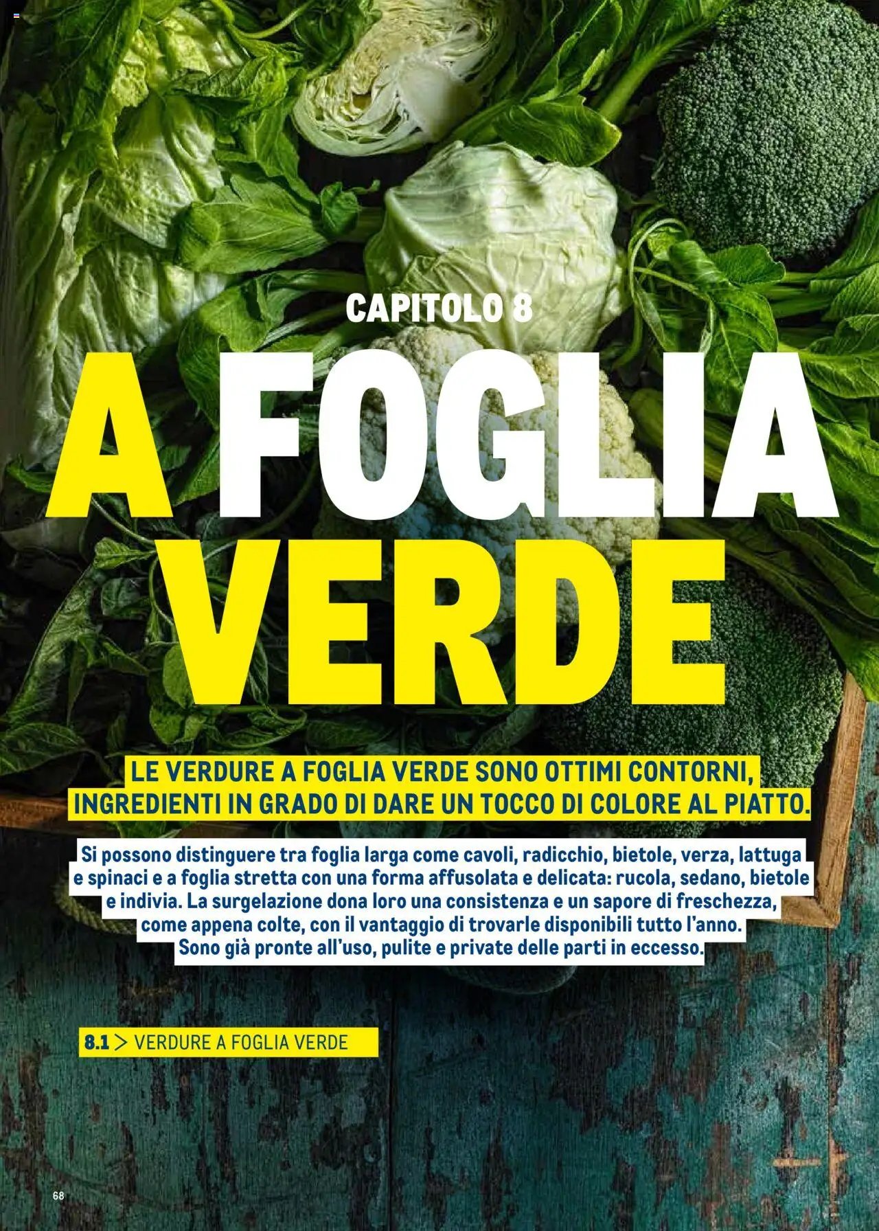 Metro Surgelati 2025 catalogo (2025-06-30 - 2026-06-30)
