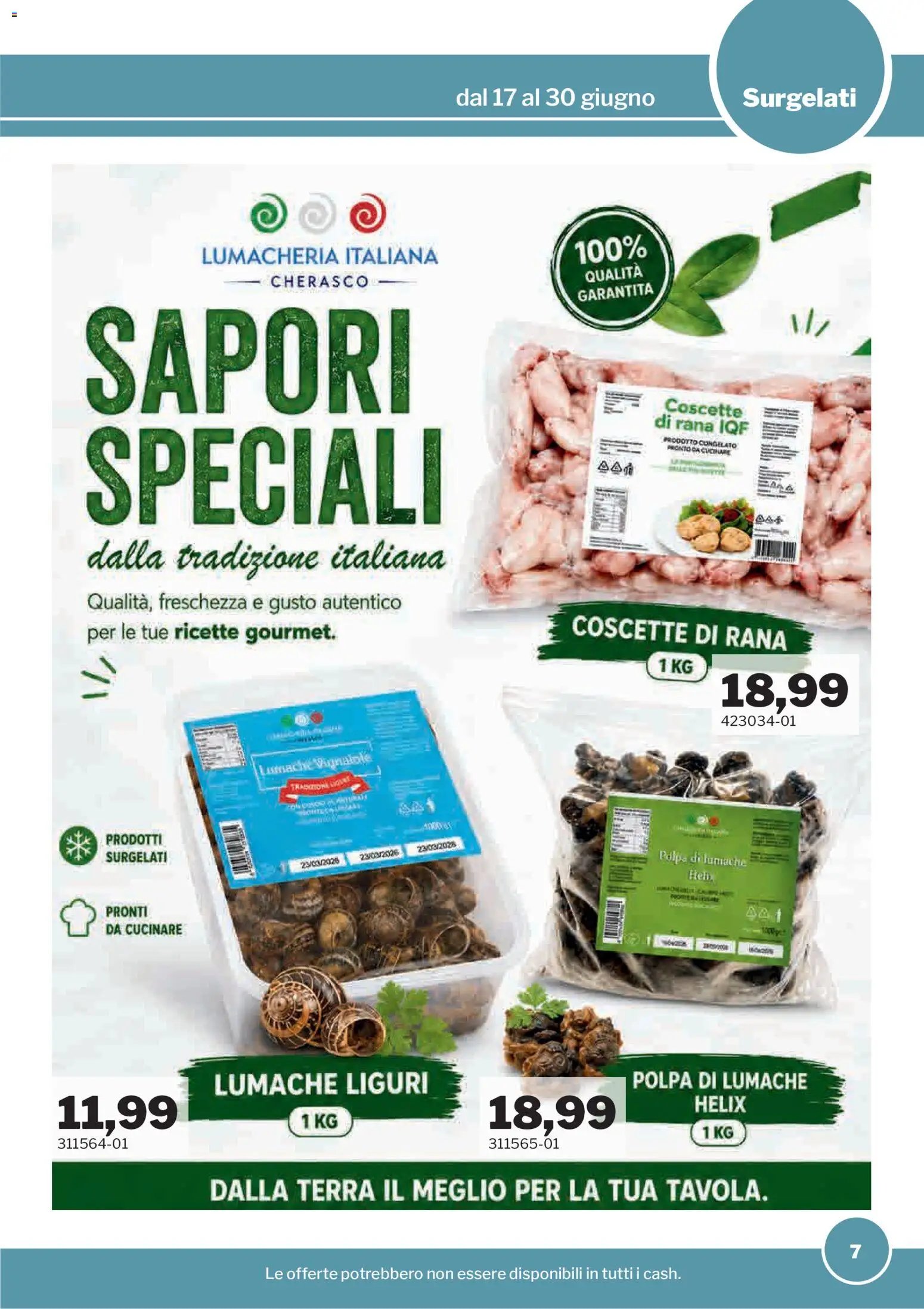 Sogegross volantino