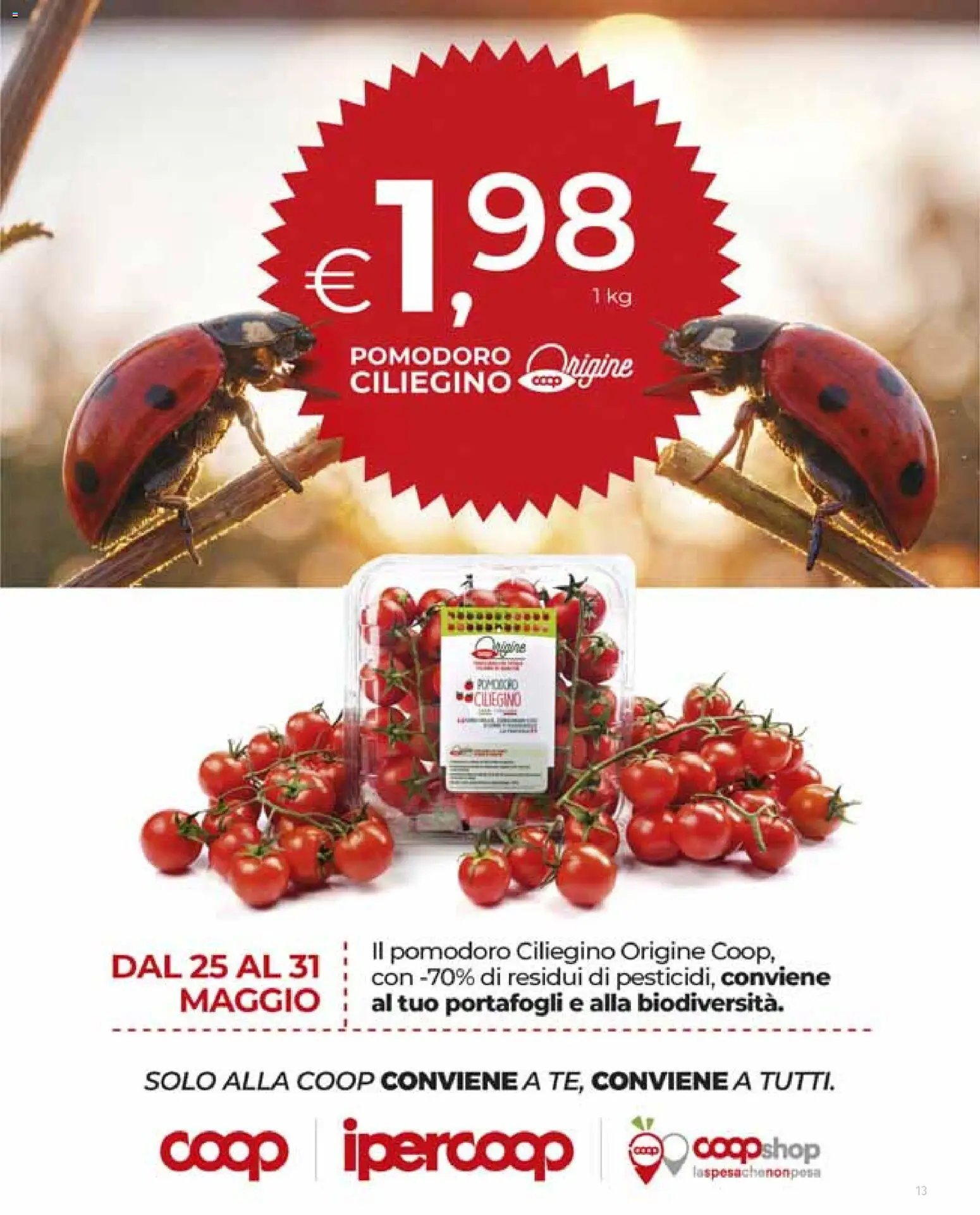 Ipercoop volantino Torino (2026-05-21 - 2026-06-03)