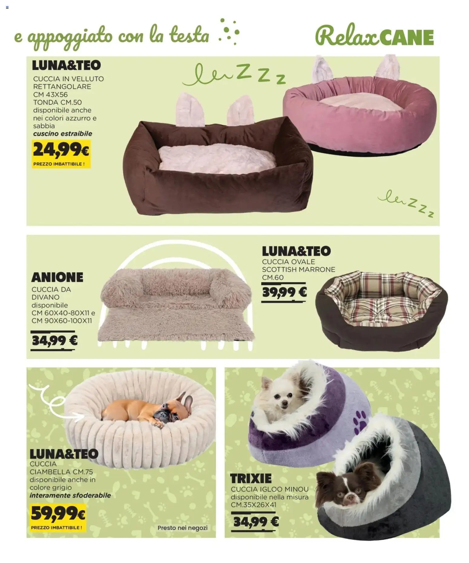 Arcaplanet Autunno Inverno catalogo (2025-11-01 - 2026-02-28)