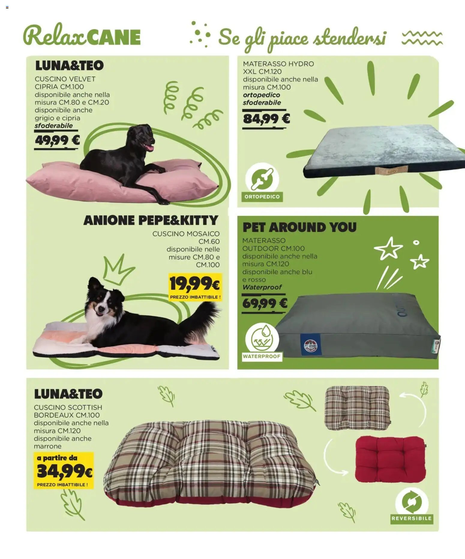 Arcaplanet Autunno Inverno catalogo (2025-11-01 - 2026-02-28)