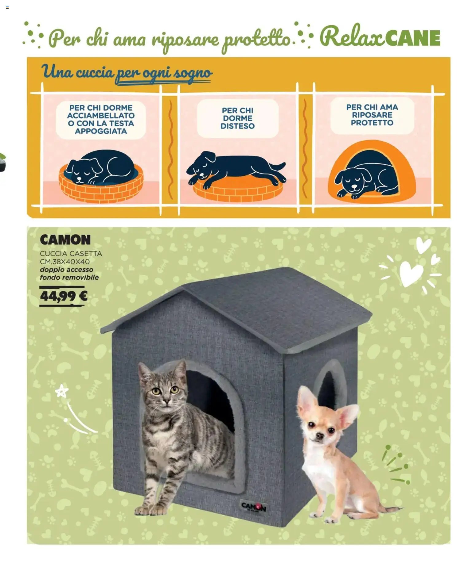 Arcaplanet Autunno Inverno catalogo (2025-11-01 - 2026-02-28)