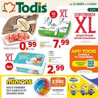 Todis volantino Sicilia