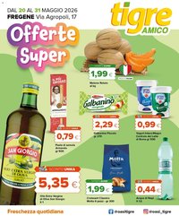 Tigre volantino Amico Fregene
