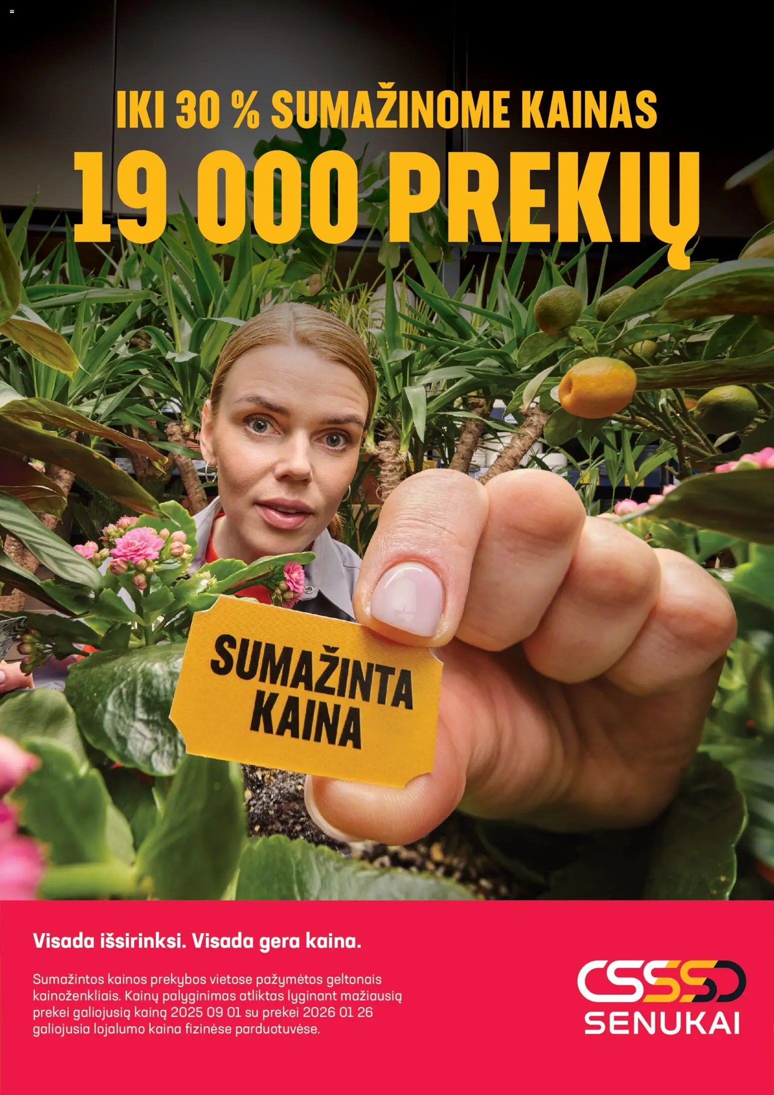 Senukai leidinys