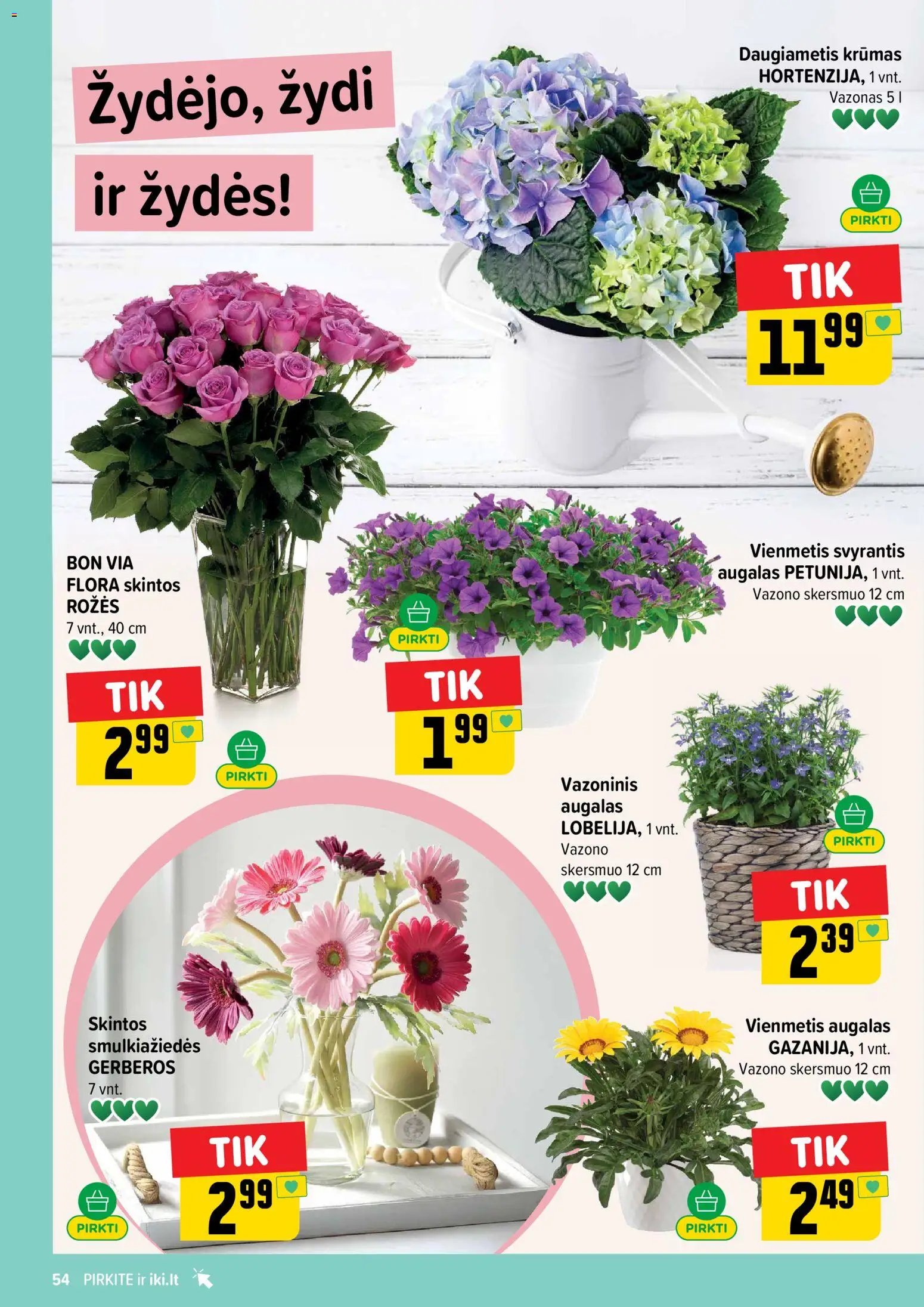 IKI leidinys