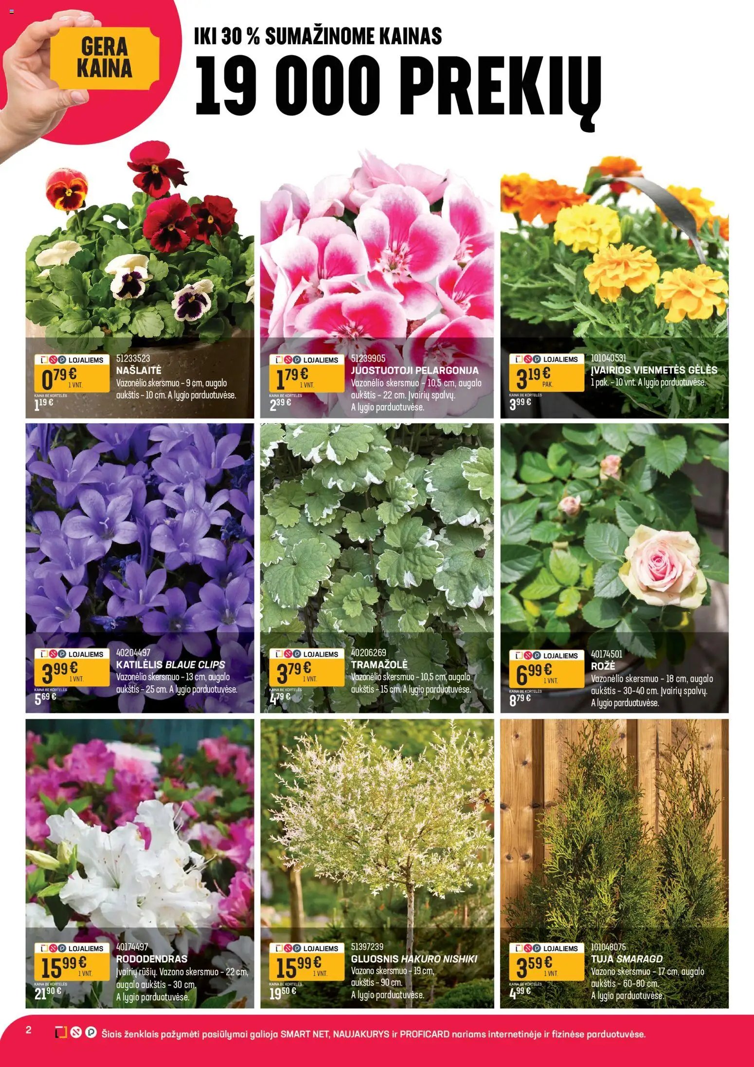 Senukai leidinys - Reklaminis leidinys