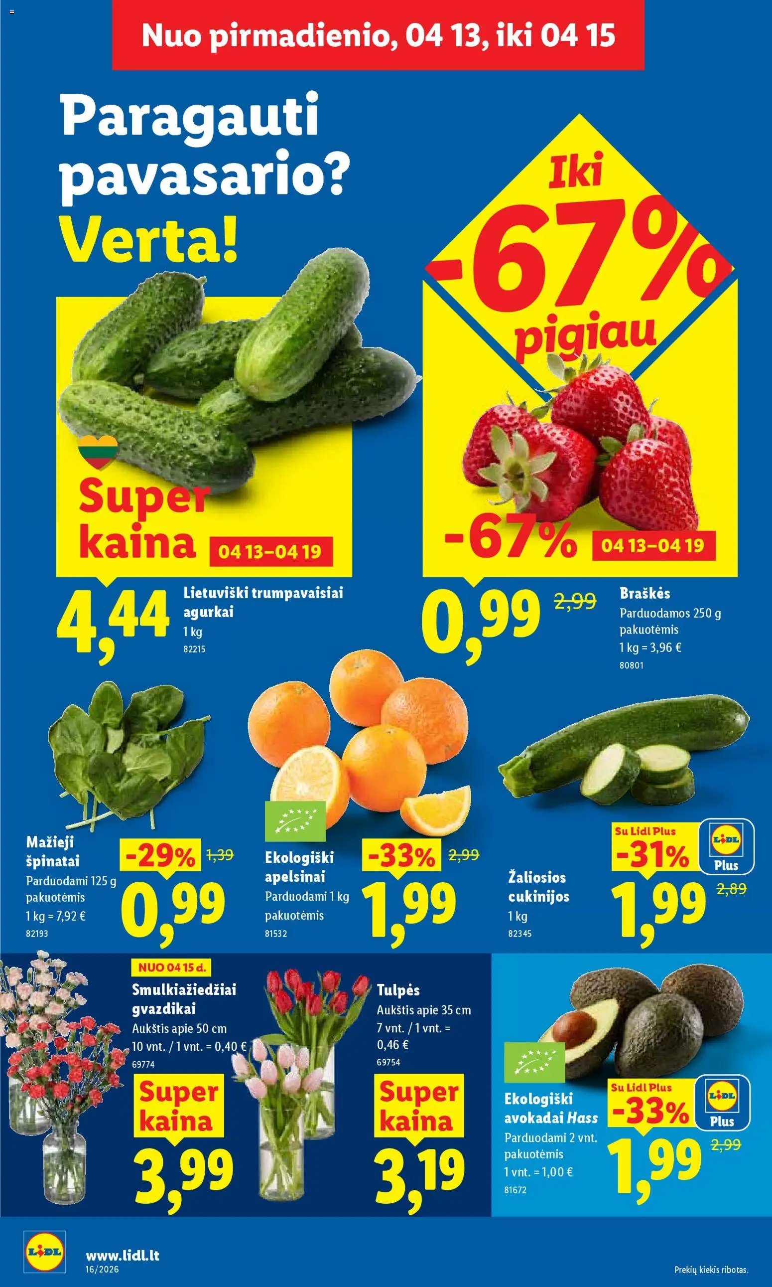 LIDL leidinys