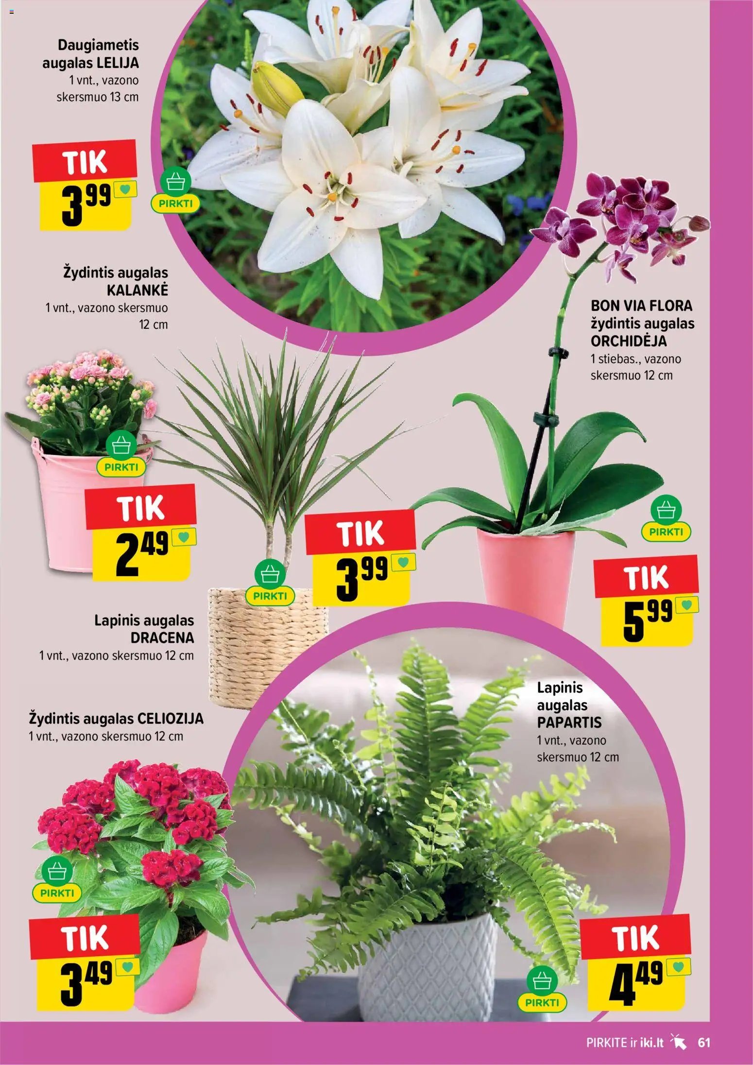 IKI leidinys