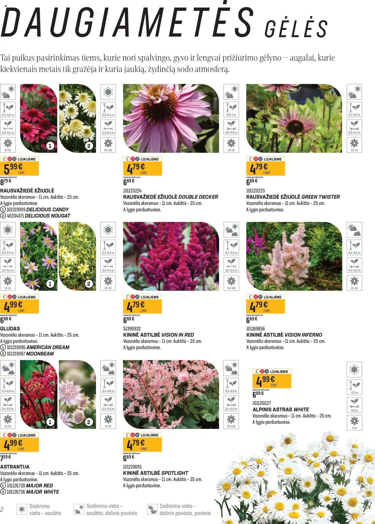 Senukai leidinys - Namini