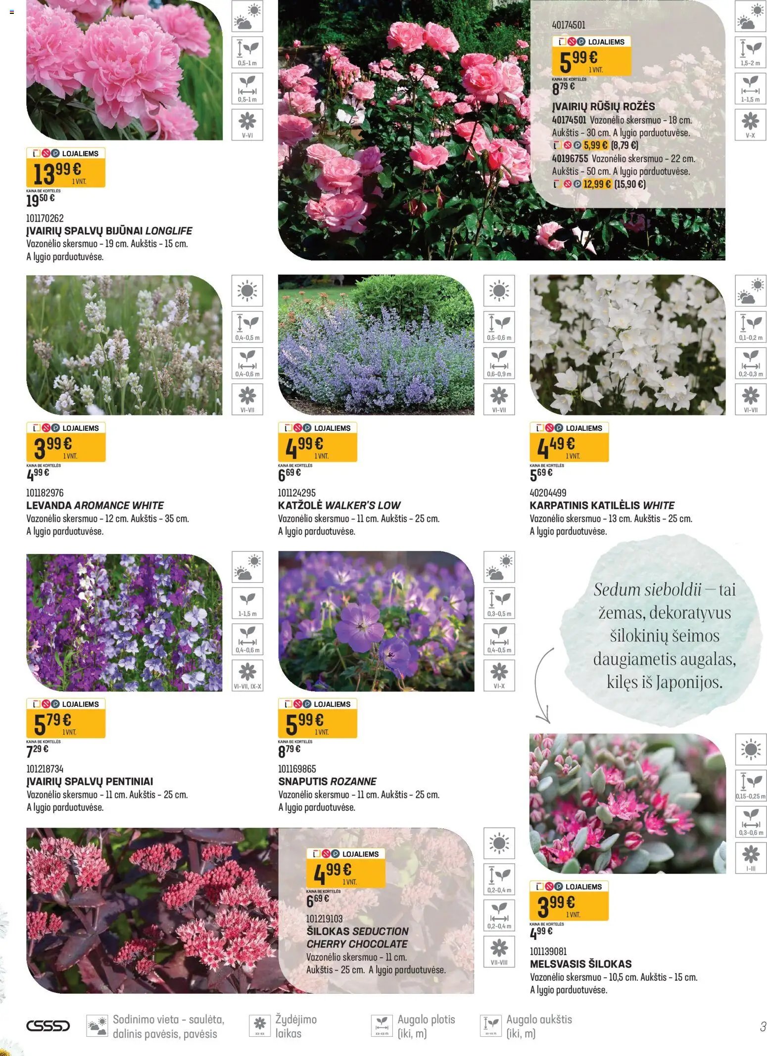 Senukai leidinys - Namini