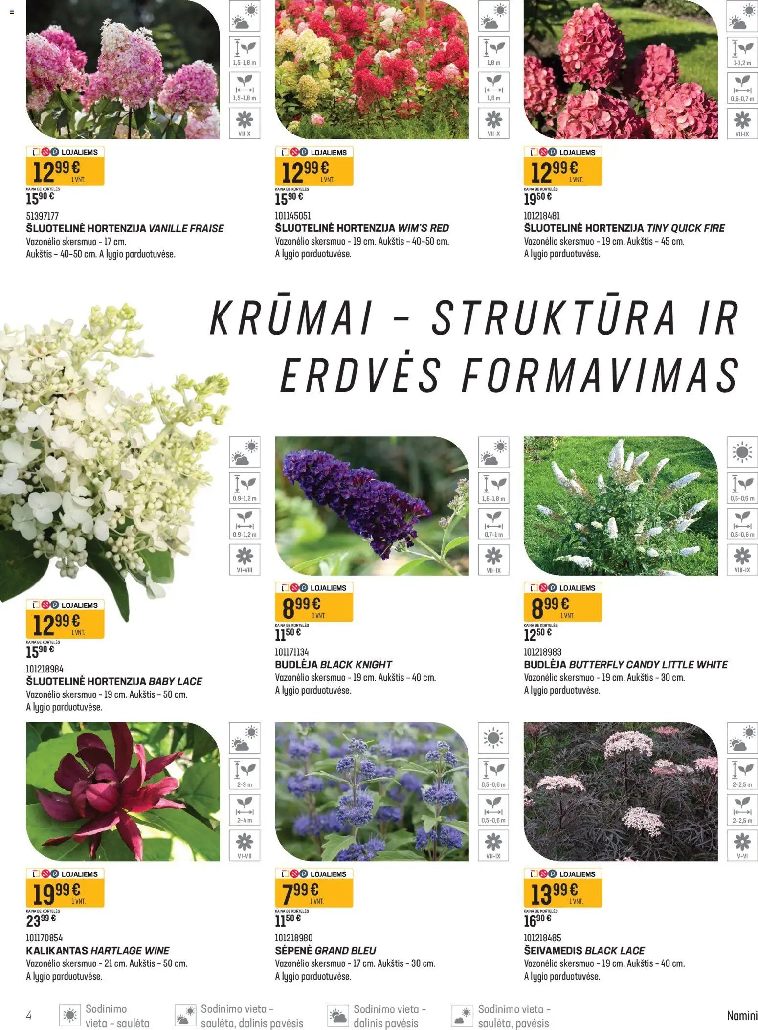 Senukai leidinys - Namini