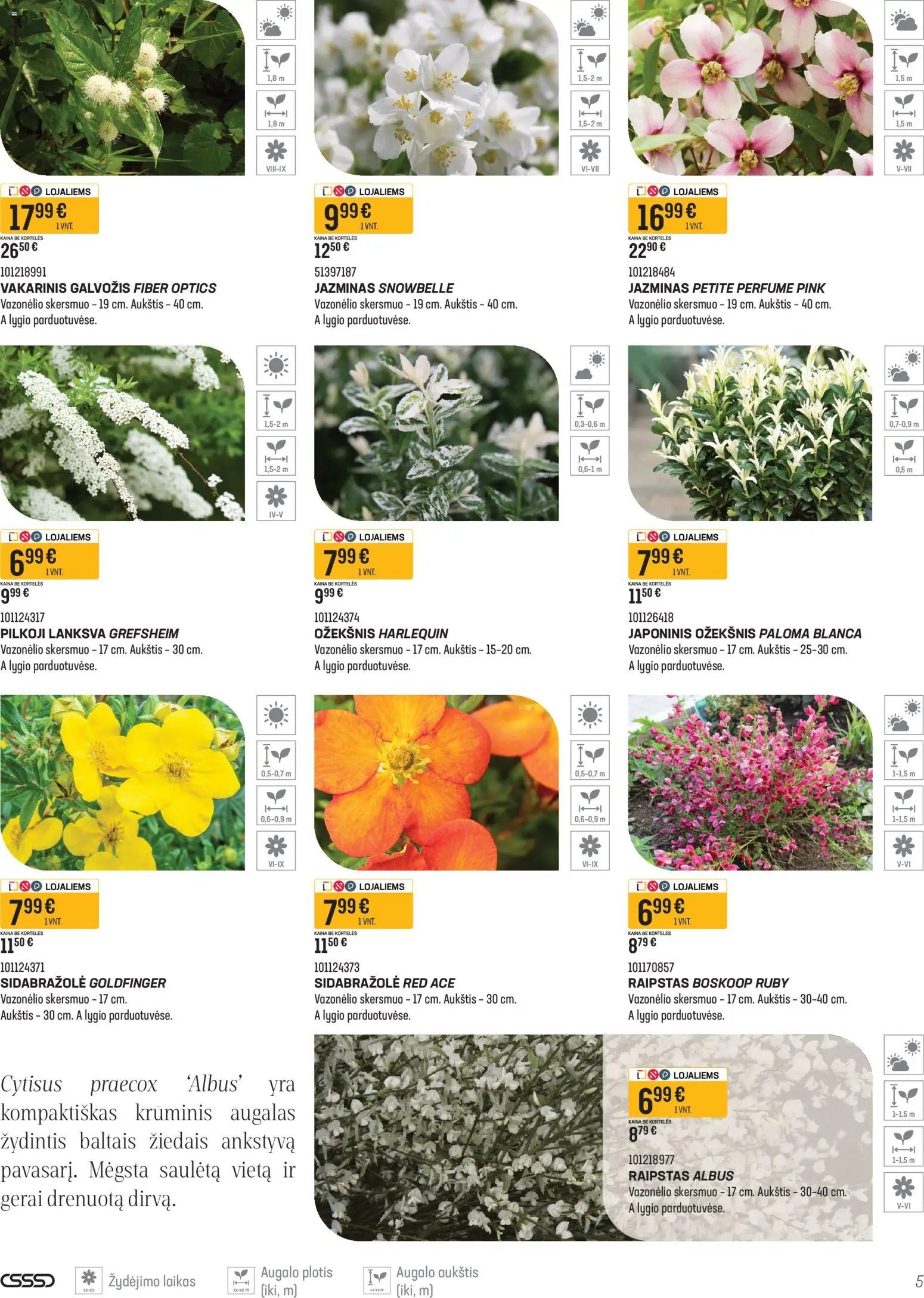 Senukai leidinys - Namini