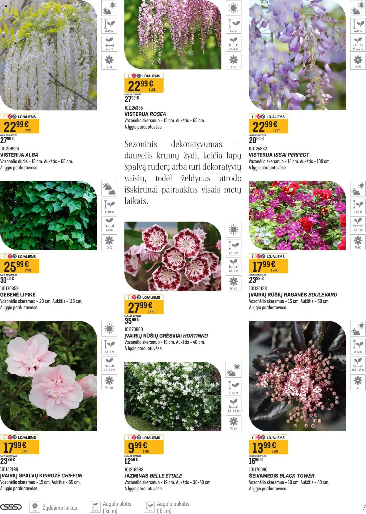 Senukai leidinys - Namini