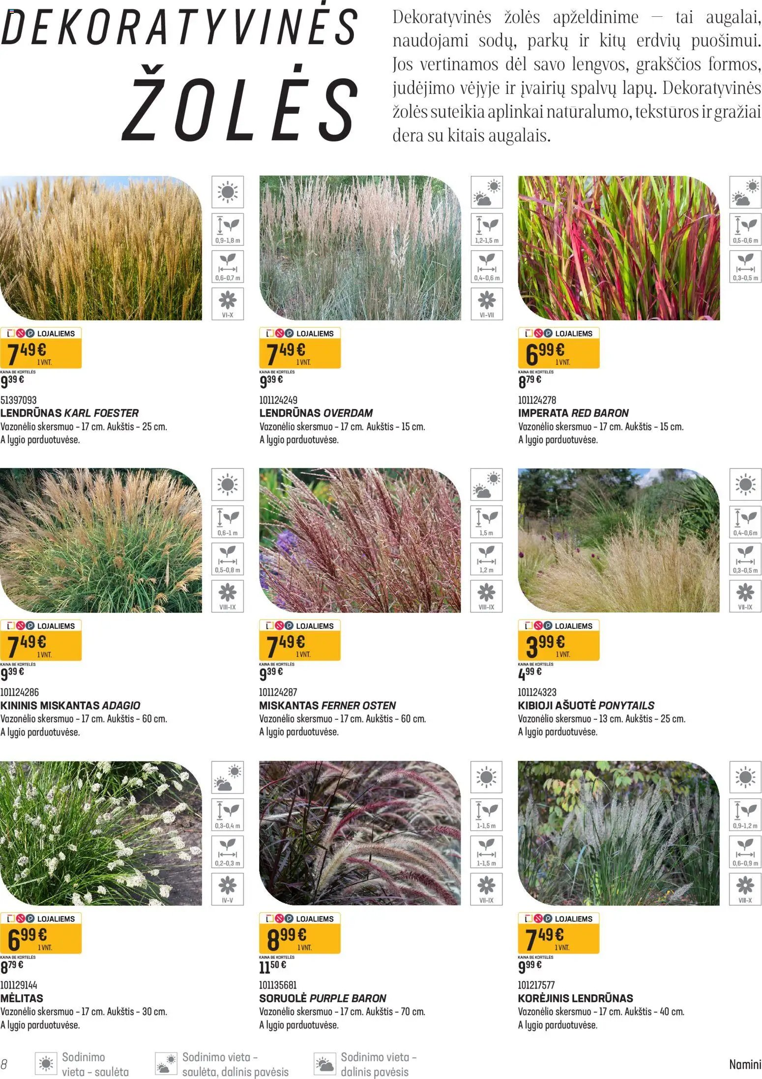 Senukai leidinys - Namini